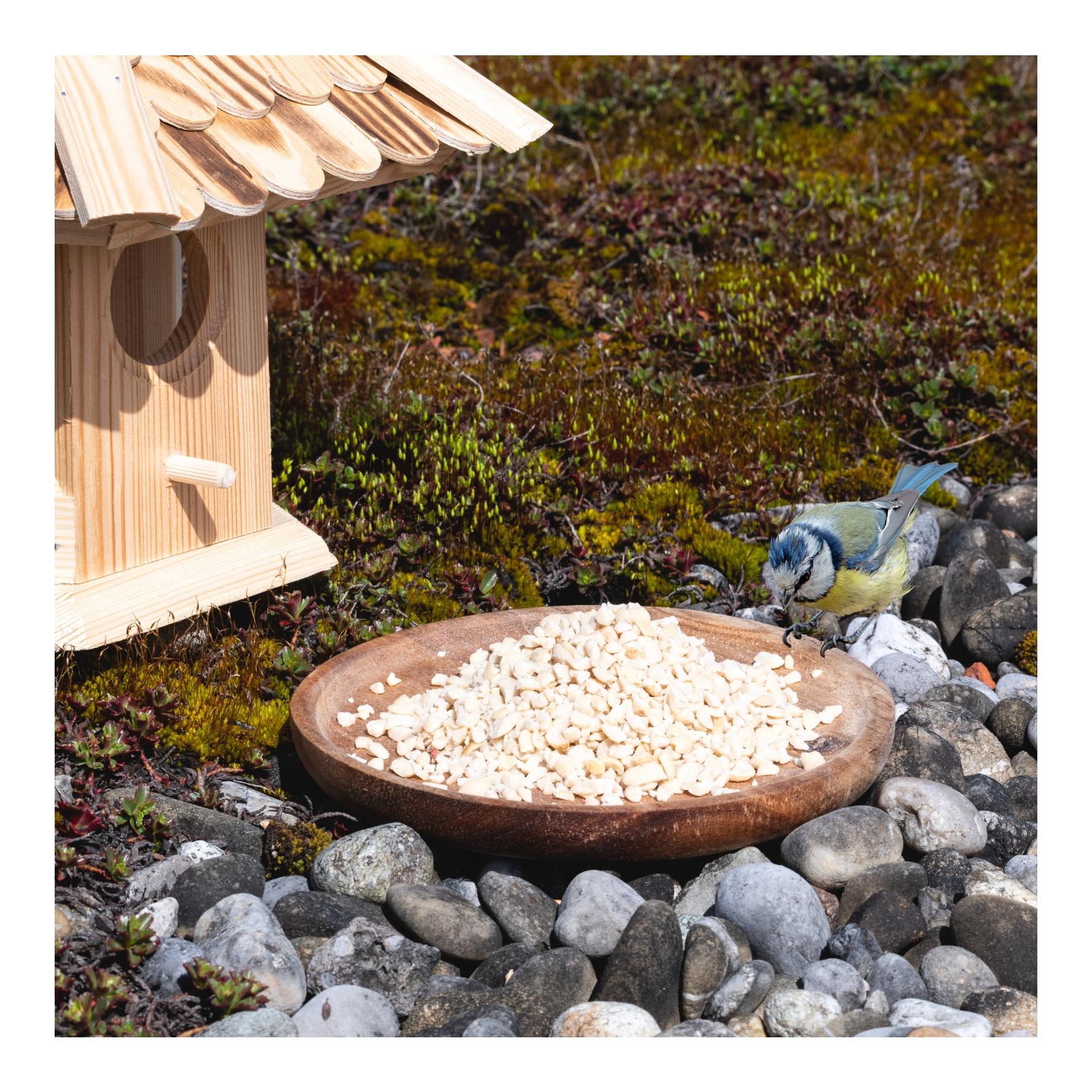 Erdnusskerne weiss gehackt HK Südamerika