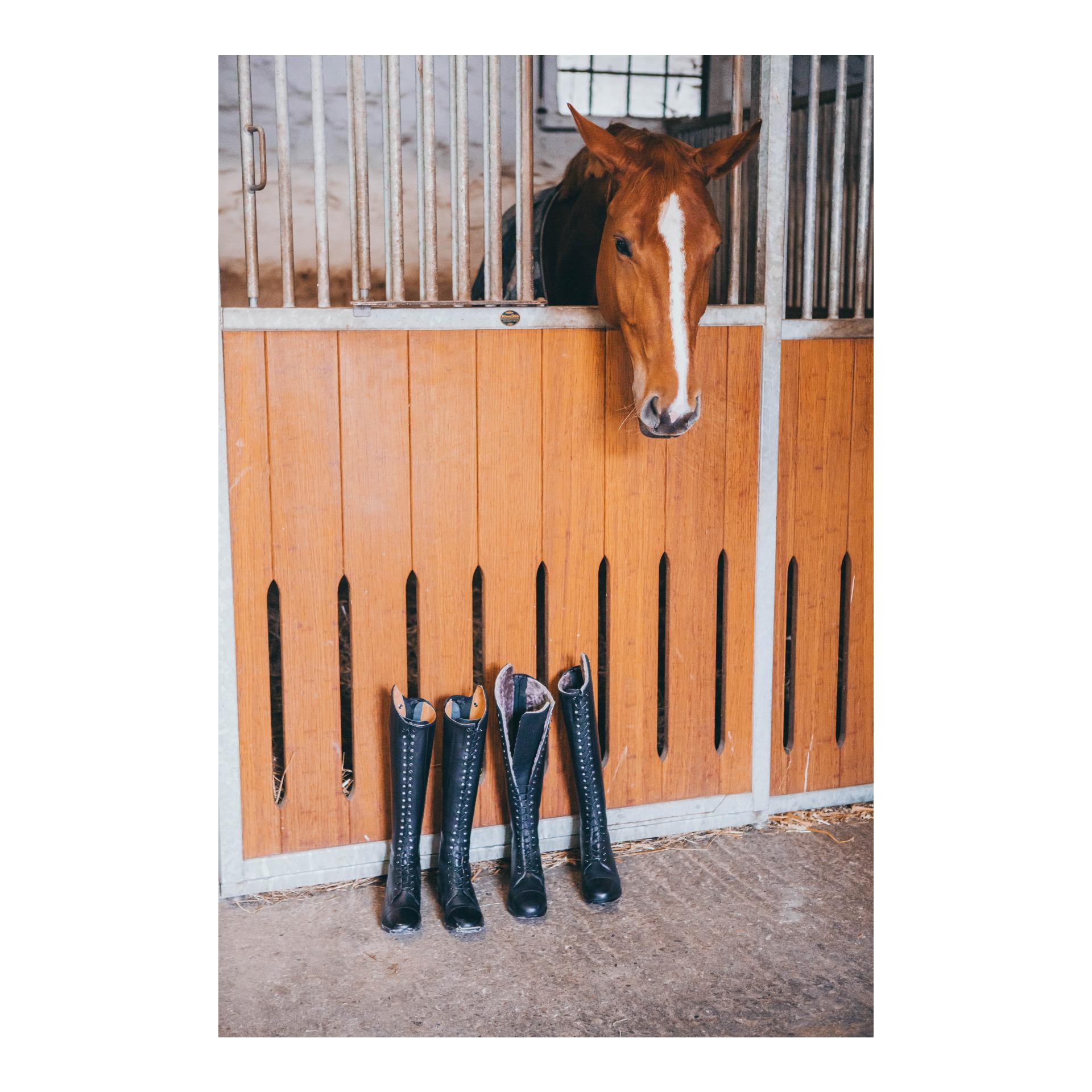 Reitstiefel Legacy Venado Merino Reitstiefel Legacy Venado Merino