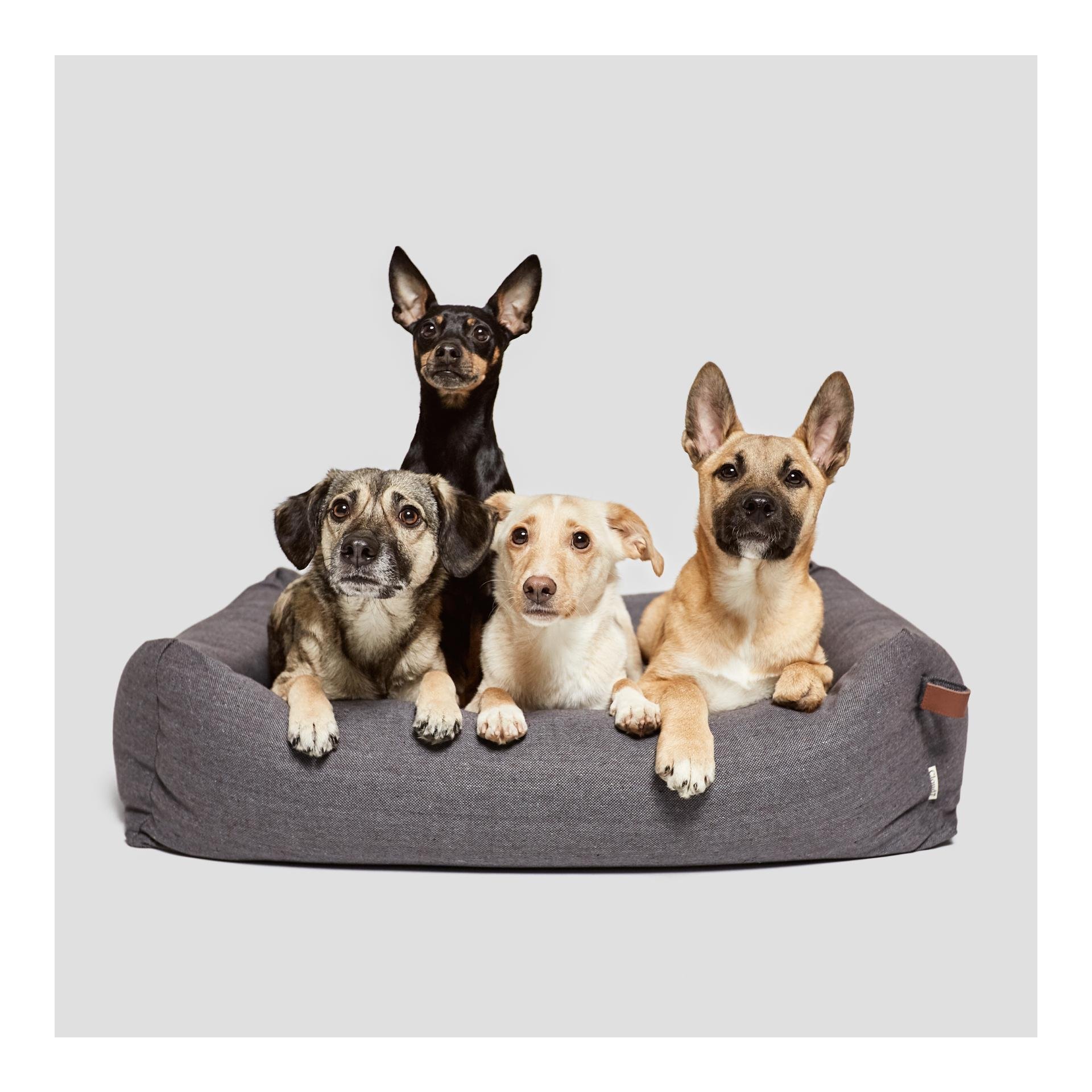 Hundebett Sleepy Deluxe - Tweed Taupe Hundebett Sleepy Deluxe - Tweed Taupe