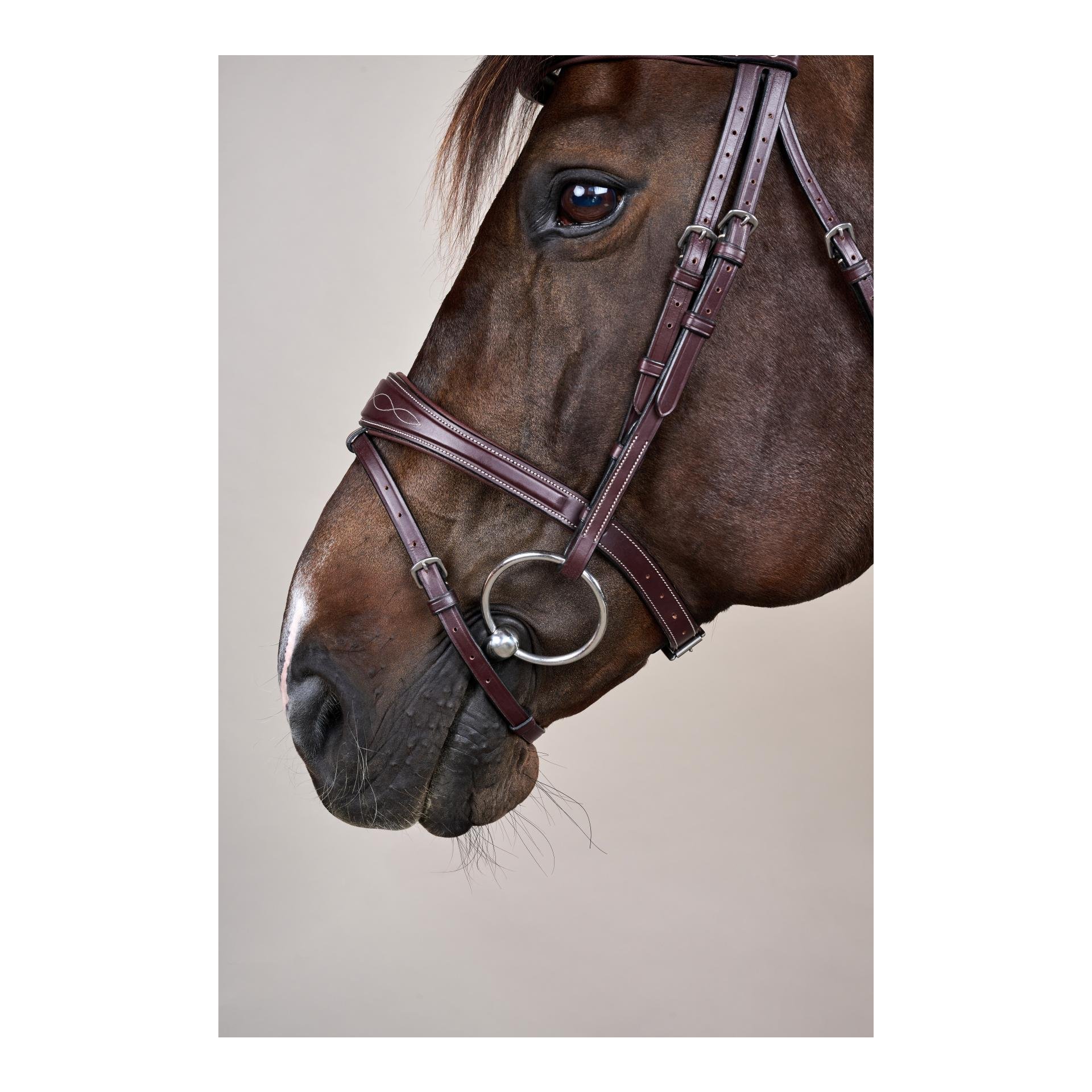 Dy'on Anatomische Trense mit kombiniertem Reithalfter US