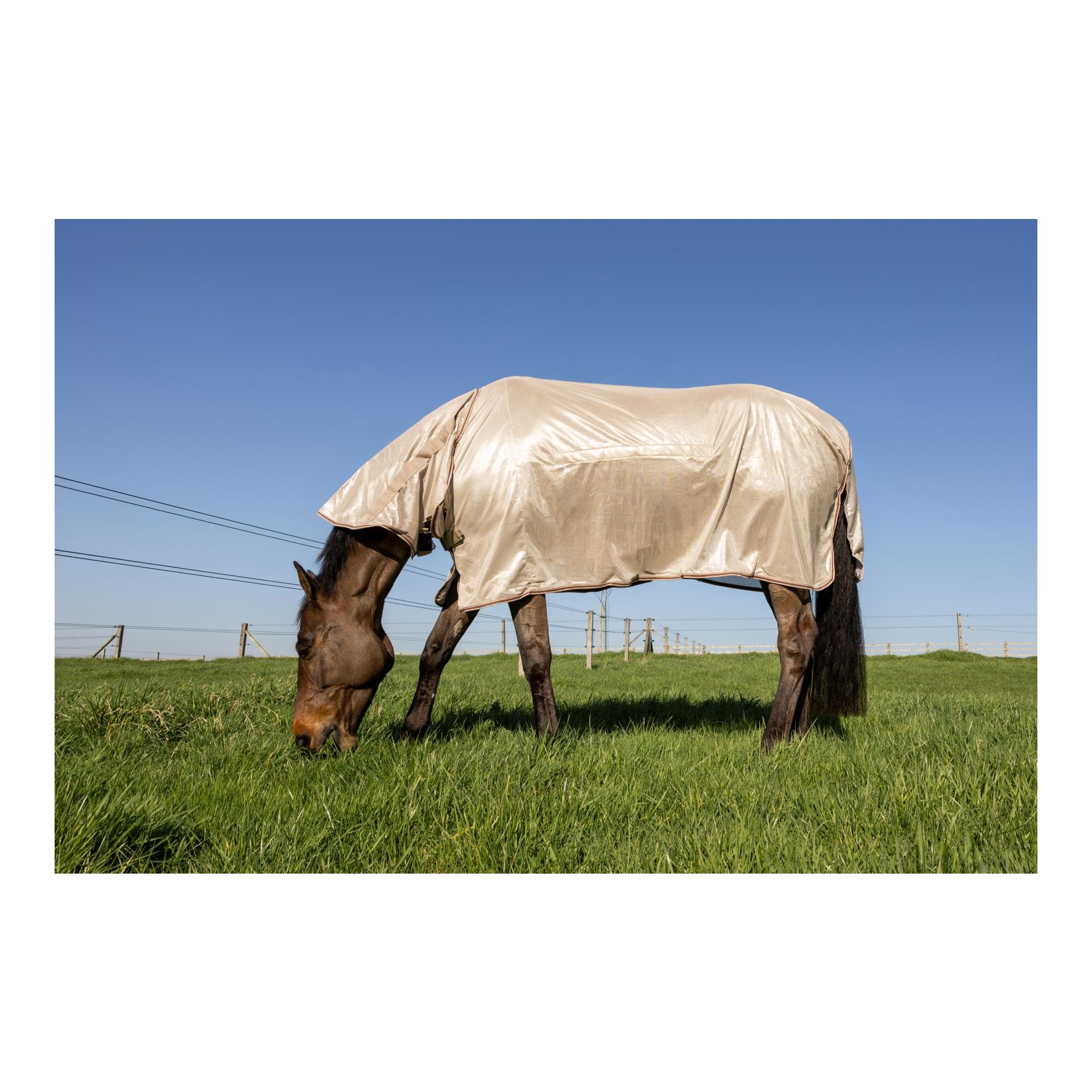 Fliegendecke Comfort Classic mit Halsteil & Bauch