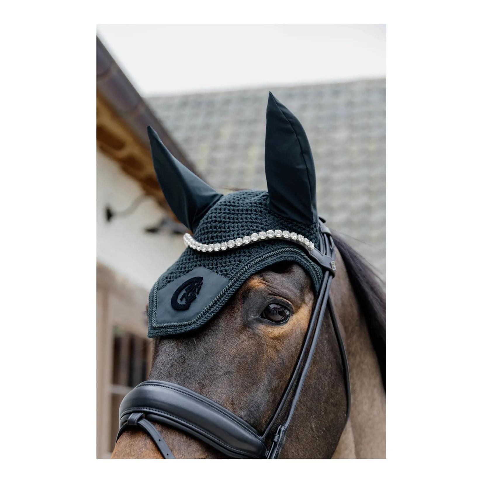 Ohrengarn Wellington 3D Logo