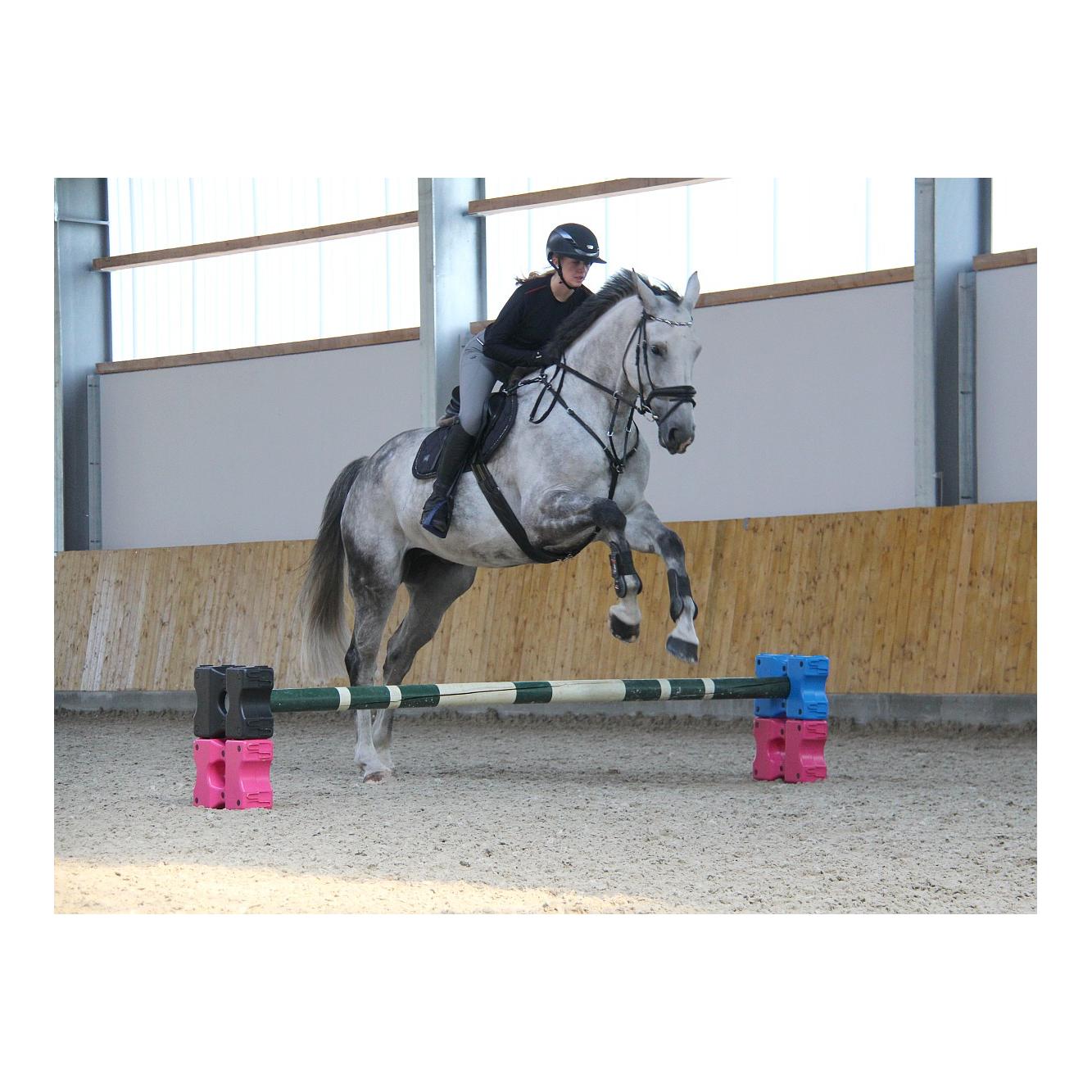 Growi Cavaletti-Block Aaron