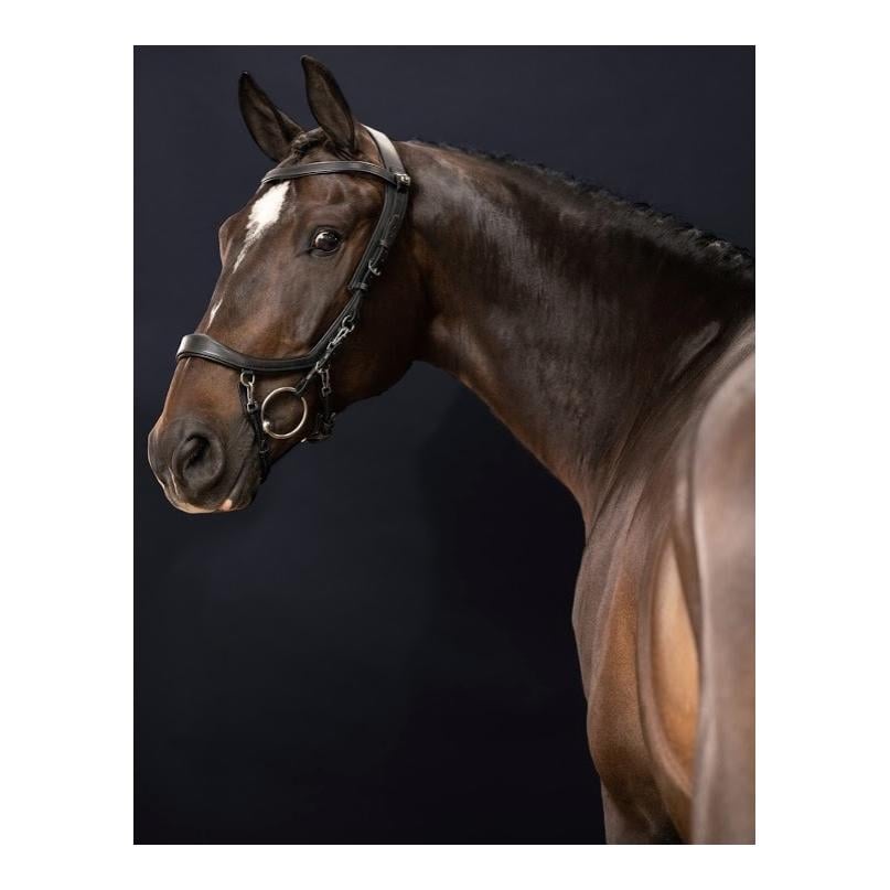 PresTeq Bride FaySport – noir