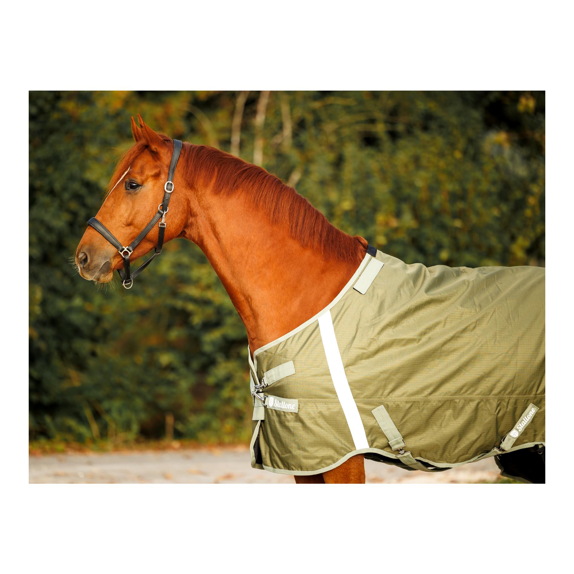 Weidedecke 50 g Outdoor Guard Weidedecke 50 g Outdoor Guard