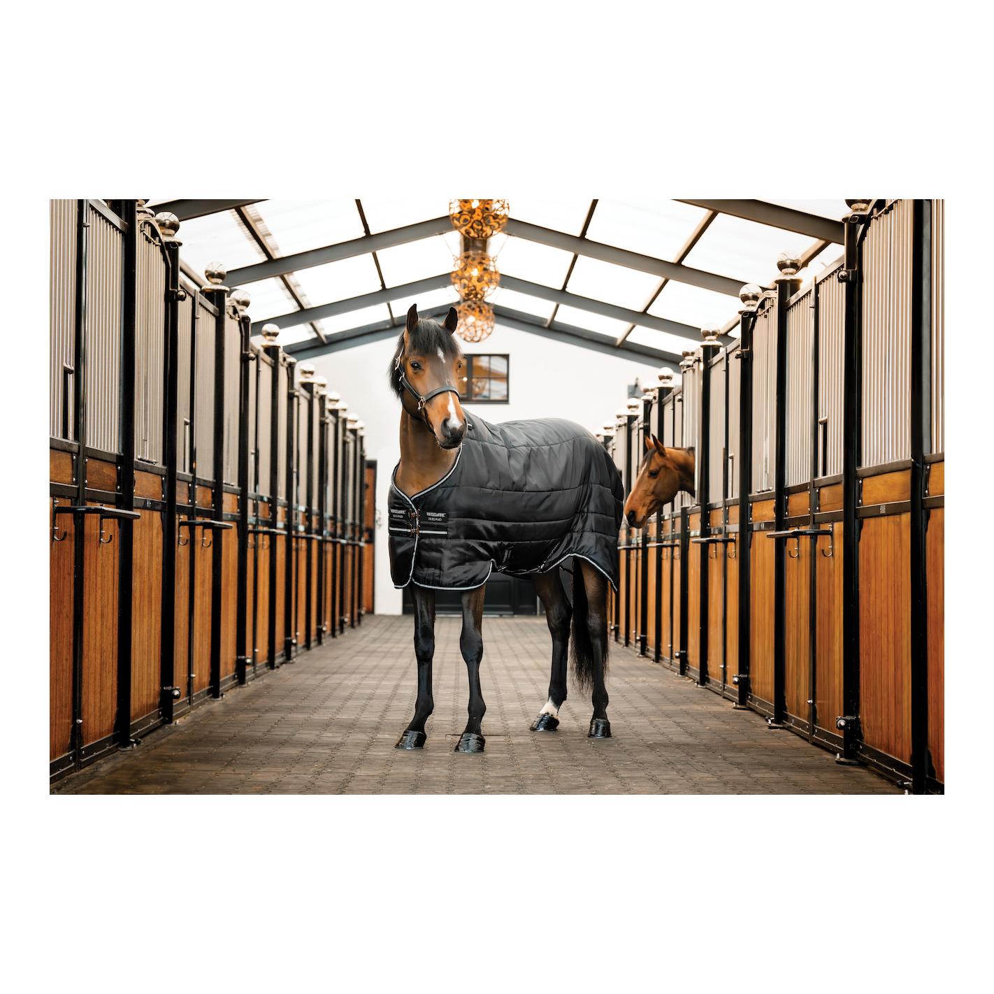 Stalldecke Easy-Layer 100g