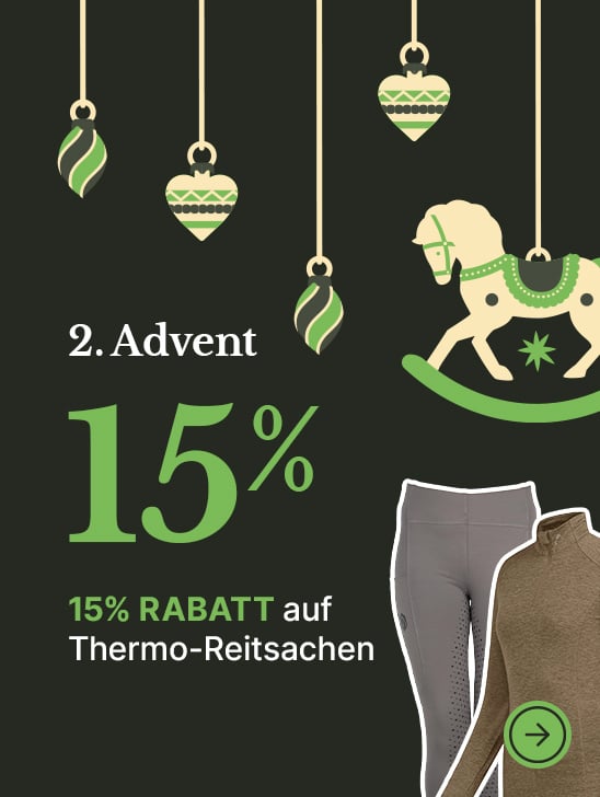 RS-Adventsaktionen-EKW-548x728-2x-startpage-DE-2