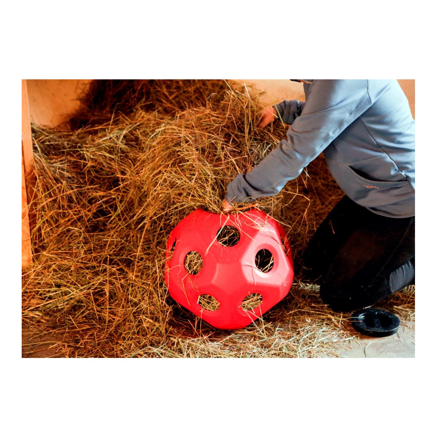 HeuBoy Futterspielball - rot HeuBoy Futterspielball - rot