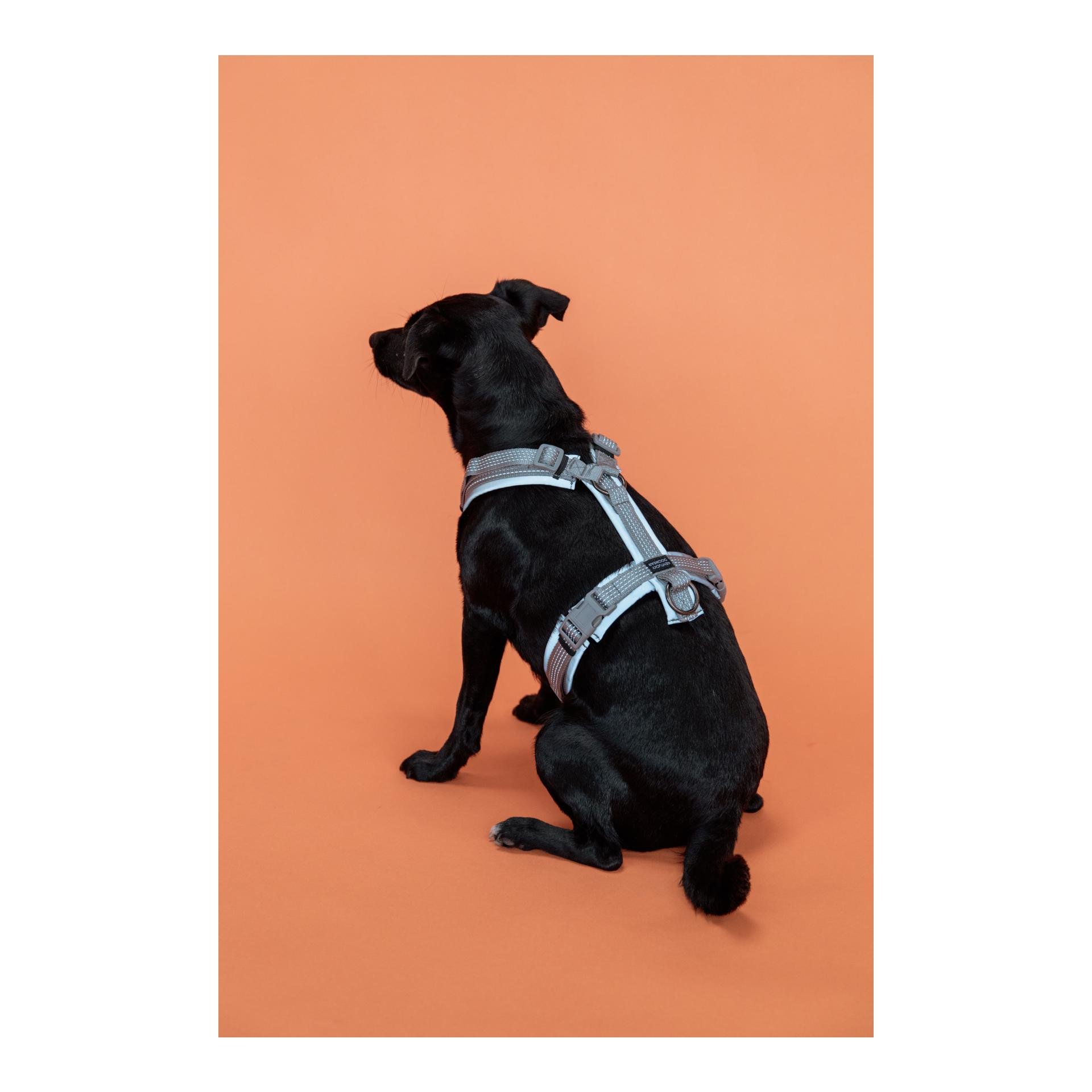 Hundegeschirr Aktiv reflektierend Hundegeschirr Aktiv reflektierend