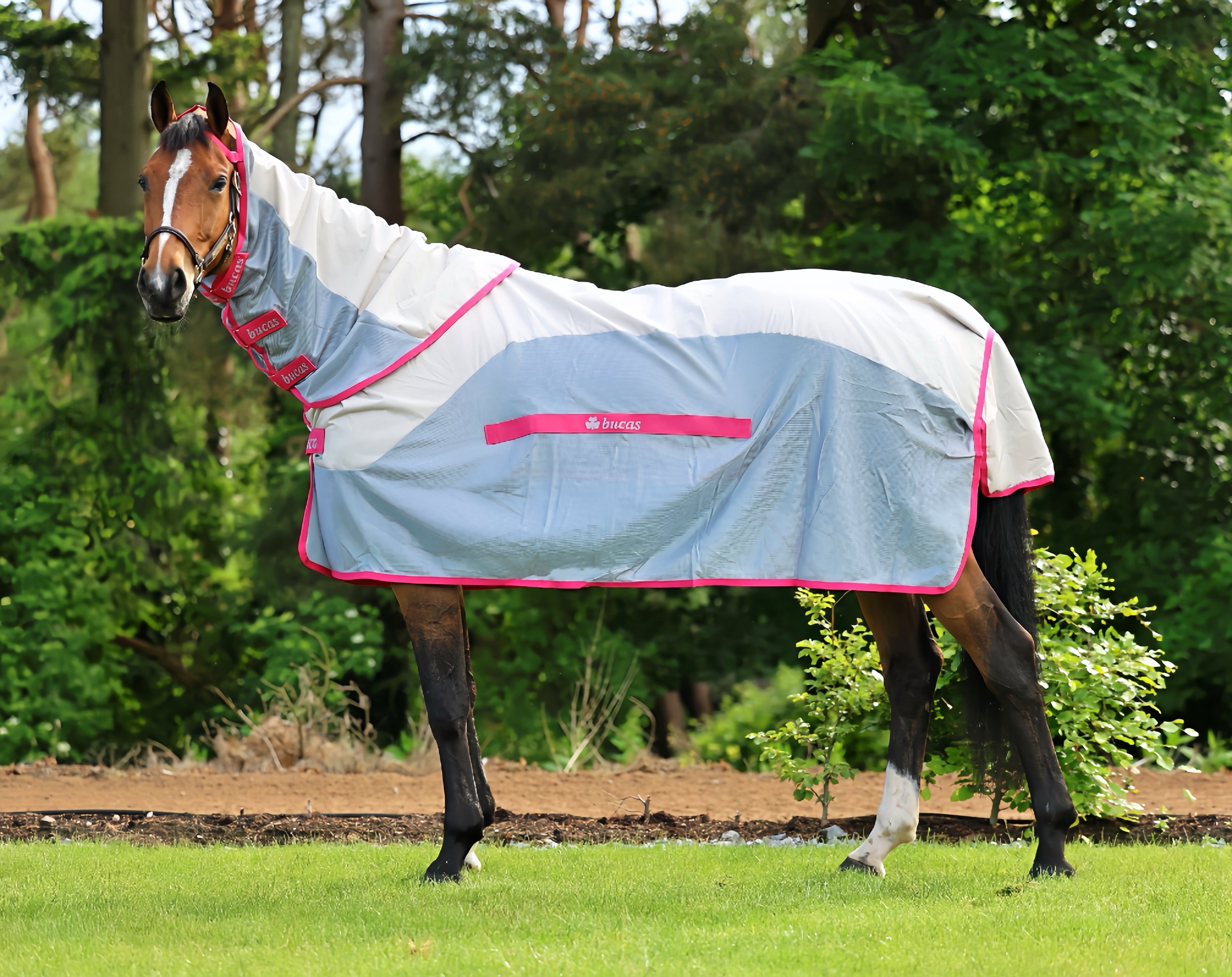 Regen- und Fliegendecke Buzz-off Rain & Neck