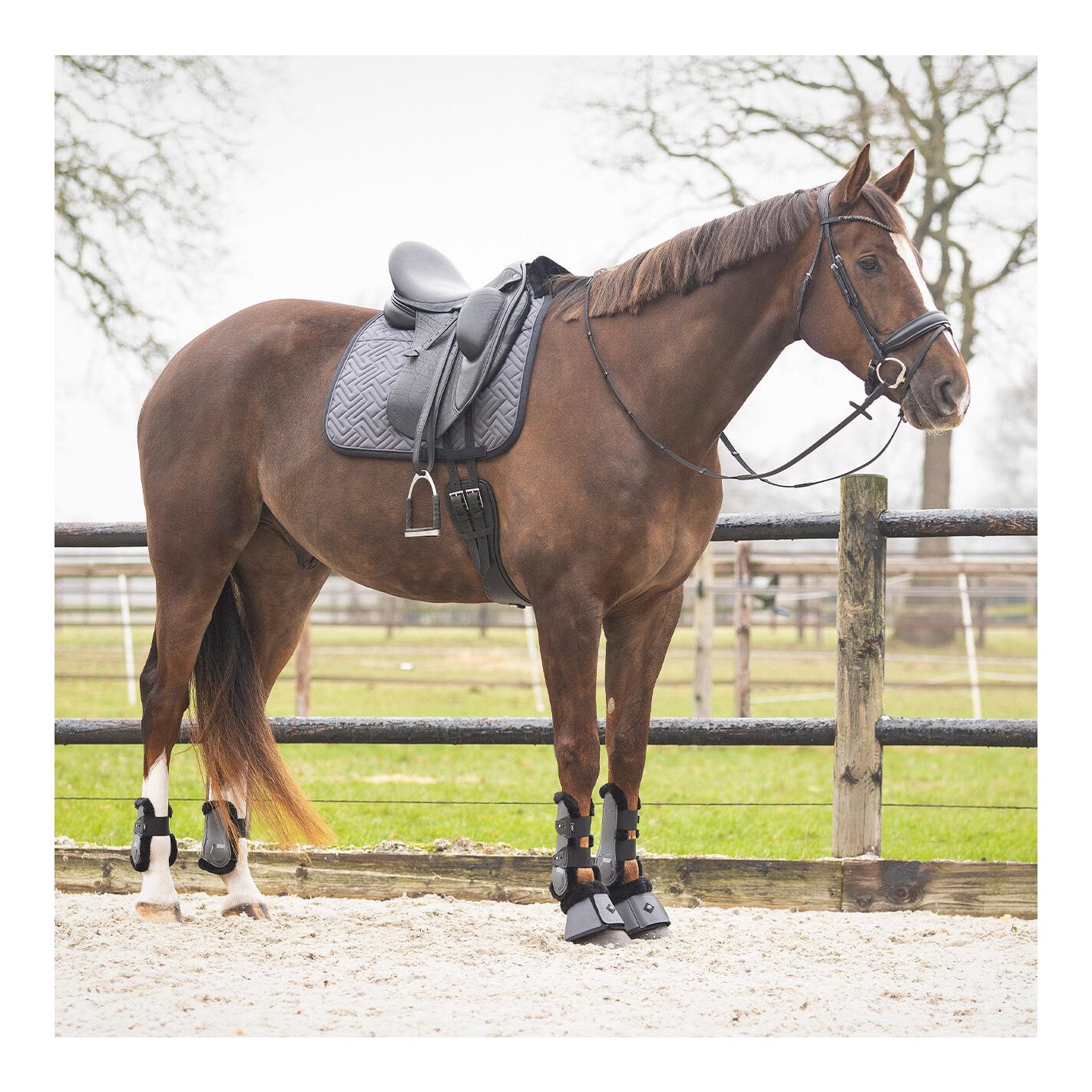 Schabracken Sensisoft