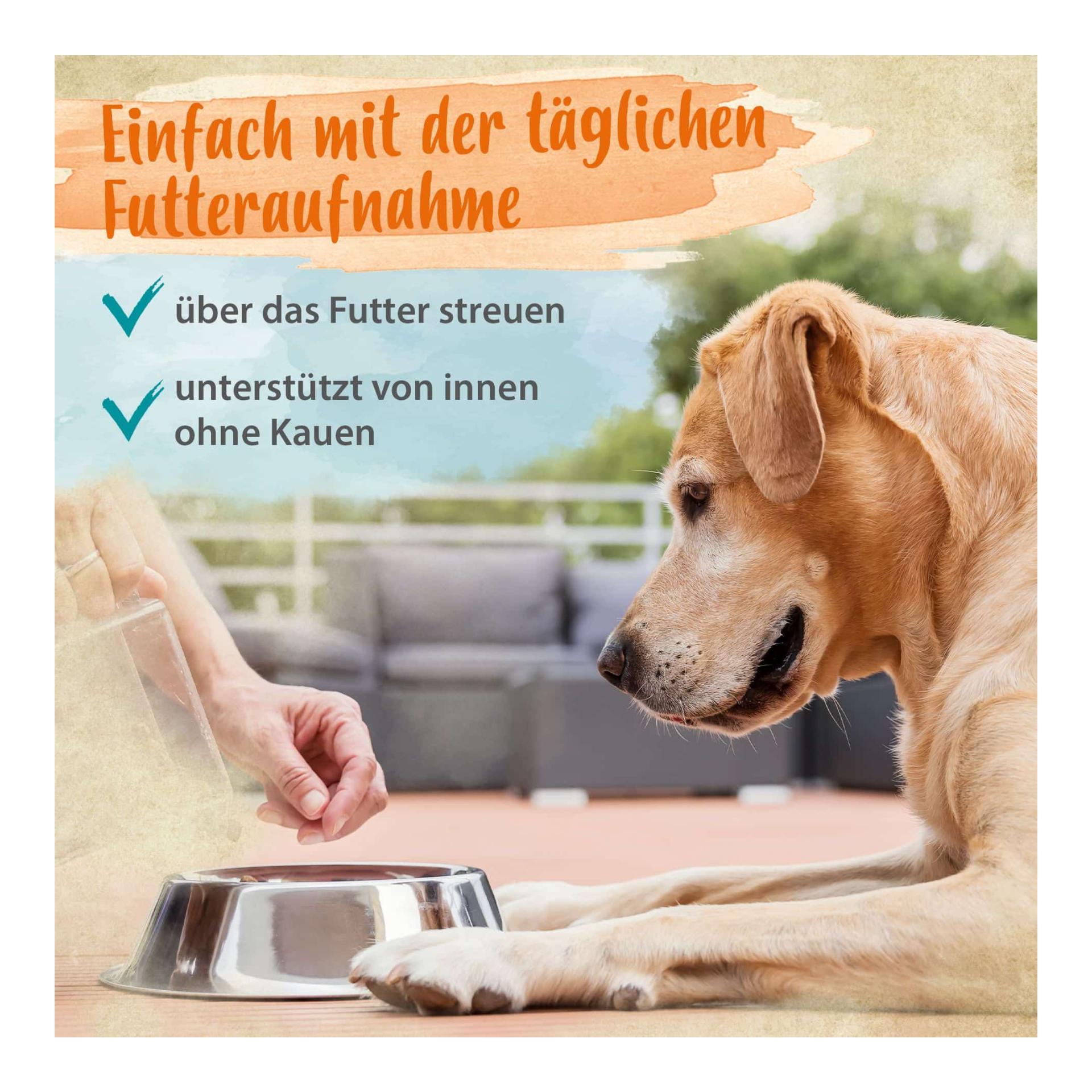 IdaPlus Denta Dog - kinderleichte Hunde Zahnpflege - stoppt Hunde Mundgeruch