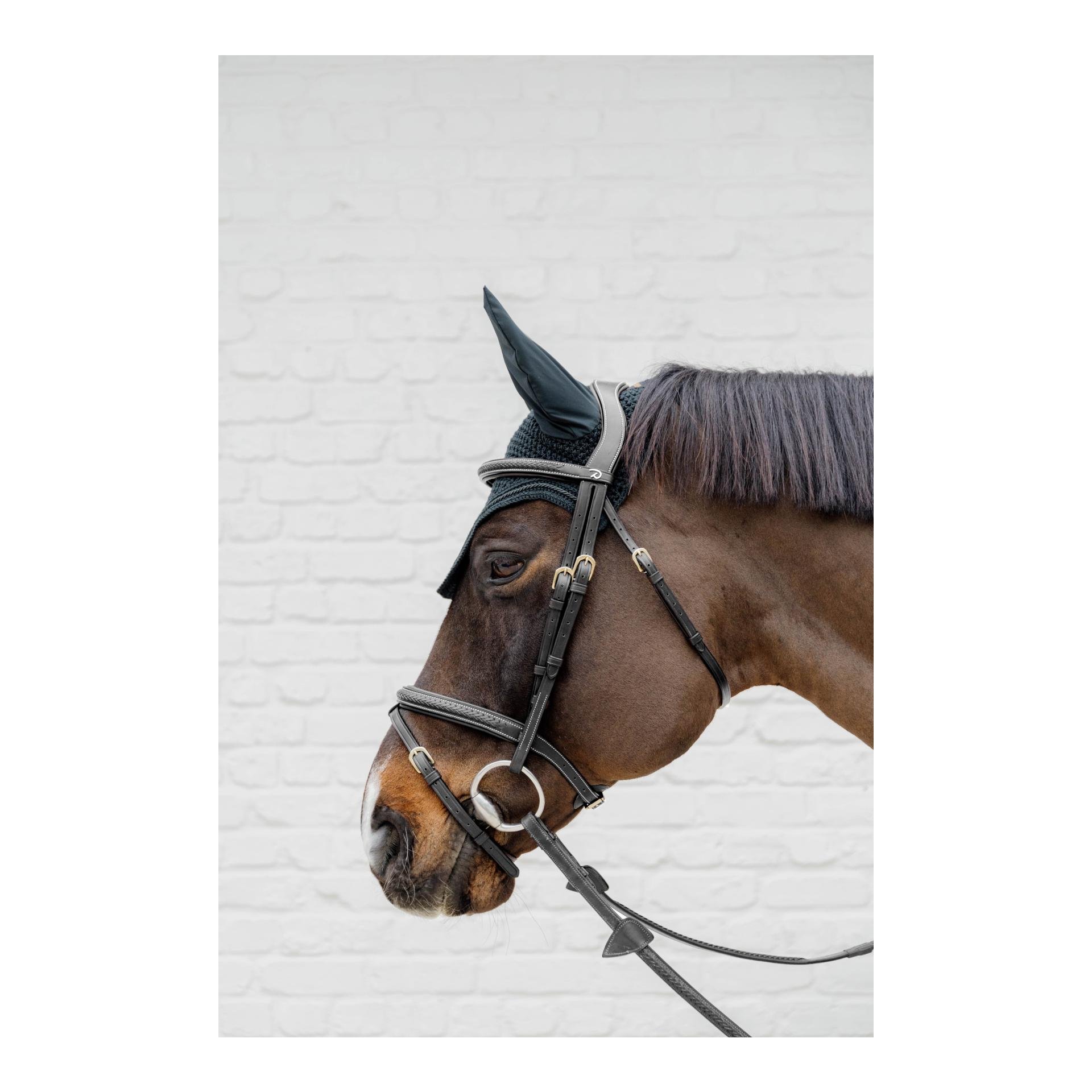 Zaumzeug geflochten mit kombiniertem Reithalfter D Collection