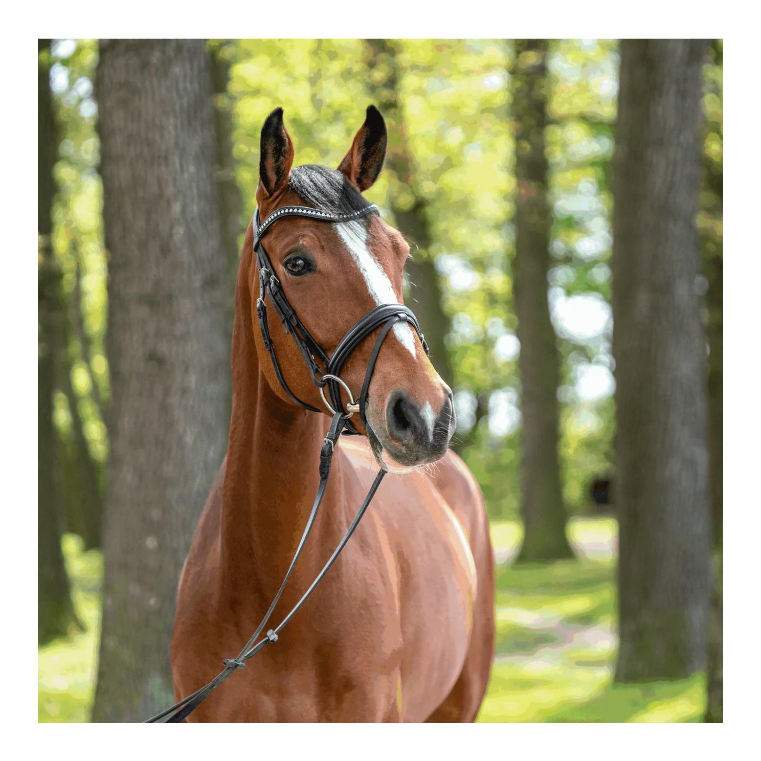 Sprenger Trense SENSOGAN® KK Ultra 18mm - Edelstahl rostfrei