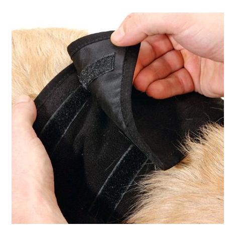 Rüden Hundeschutzhose Rüden Hundeschutzhose