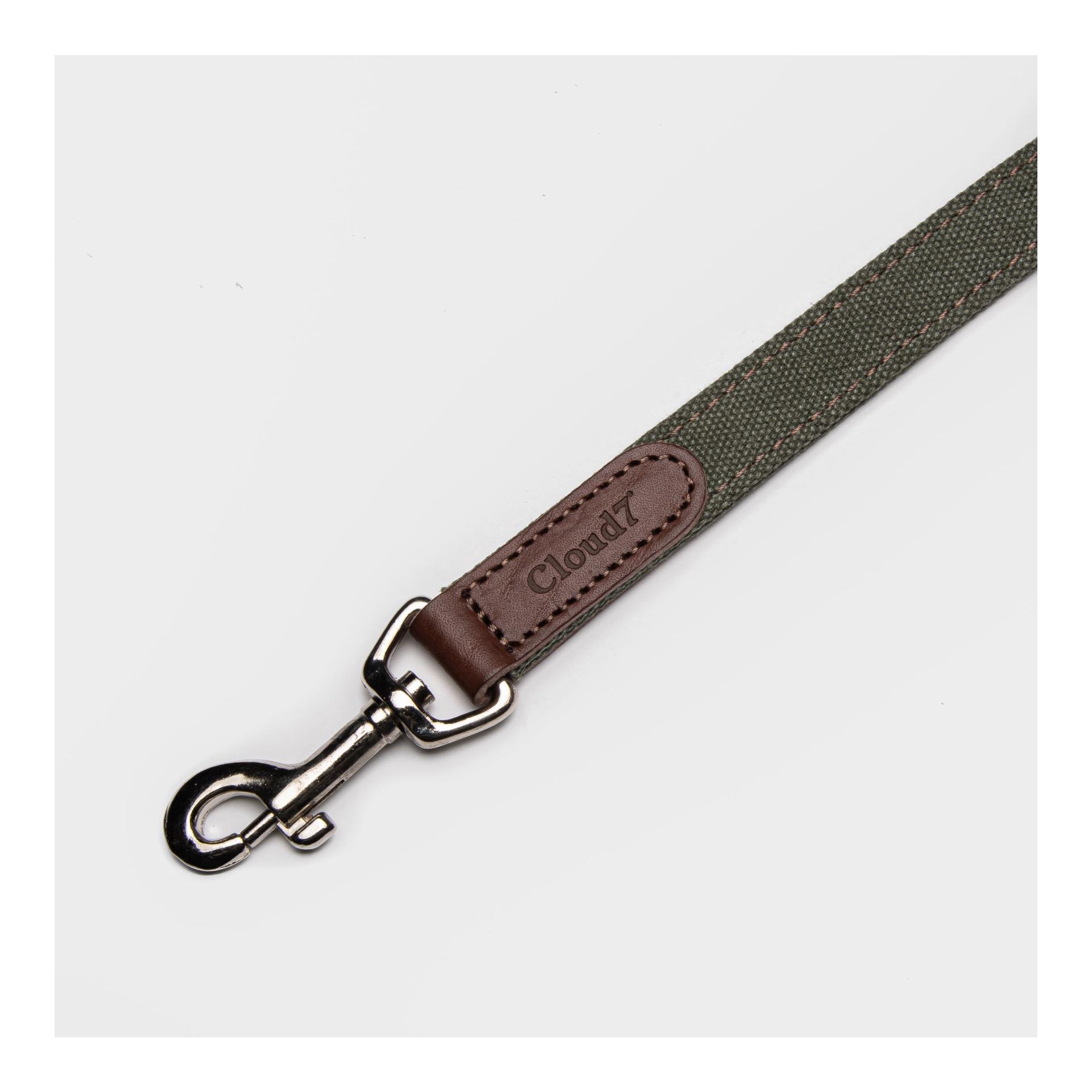 Hundeleine Tivoli - olive