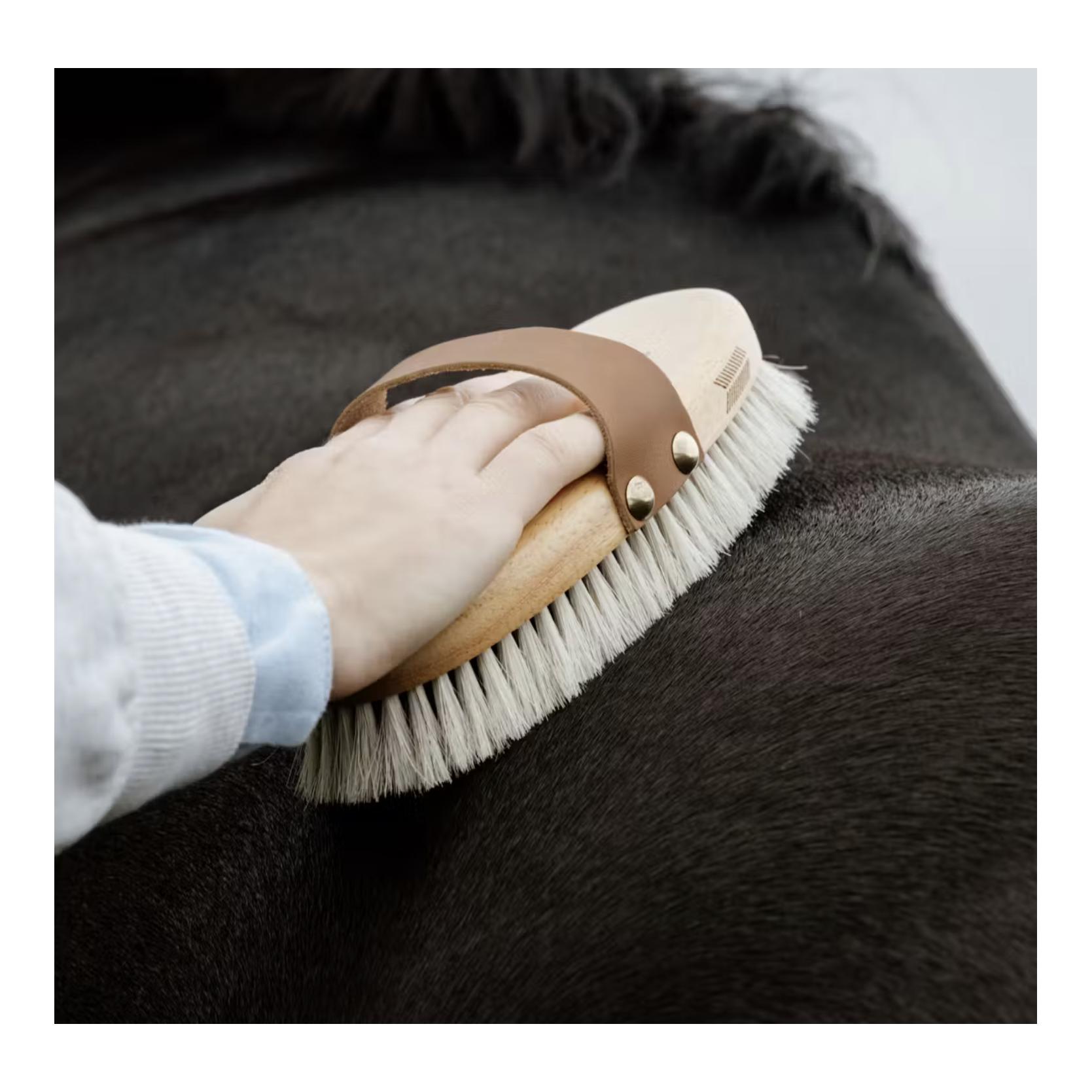 Grooming Deluxe Glanzbürste Body Shine