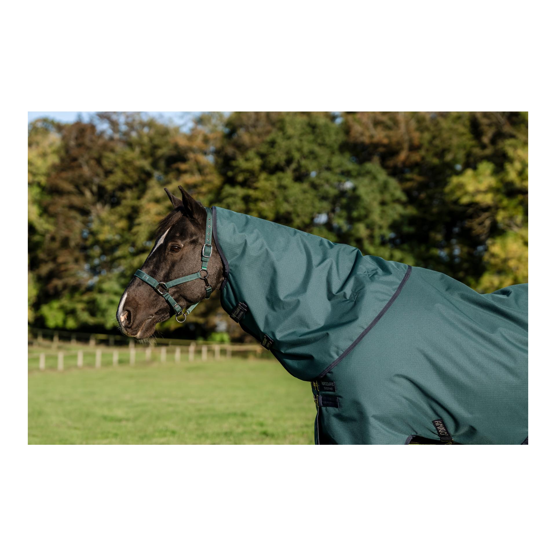 Weidedecke Amigo Ripstop 900D Plus Turnout 0g