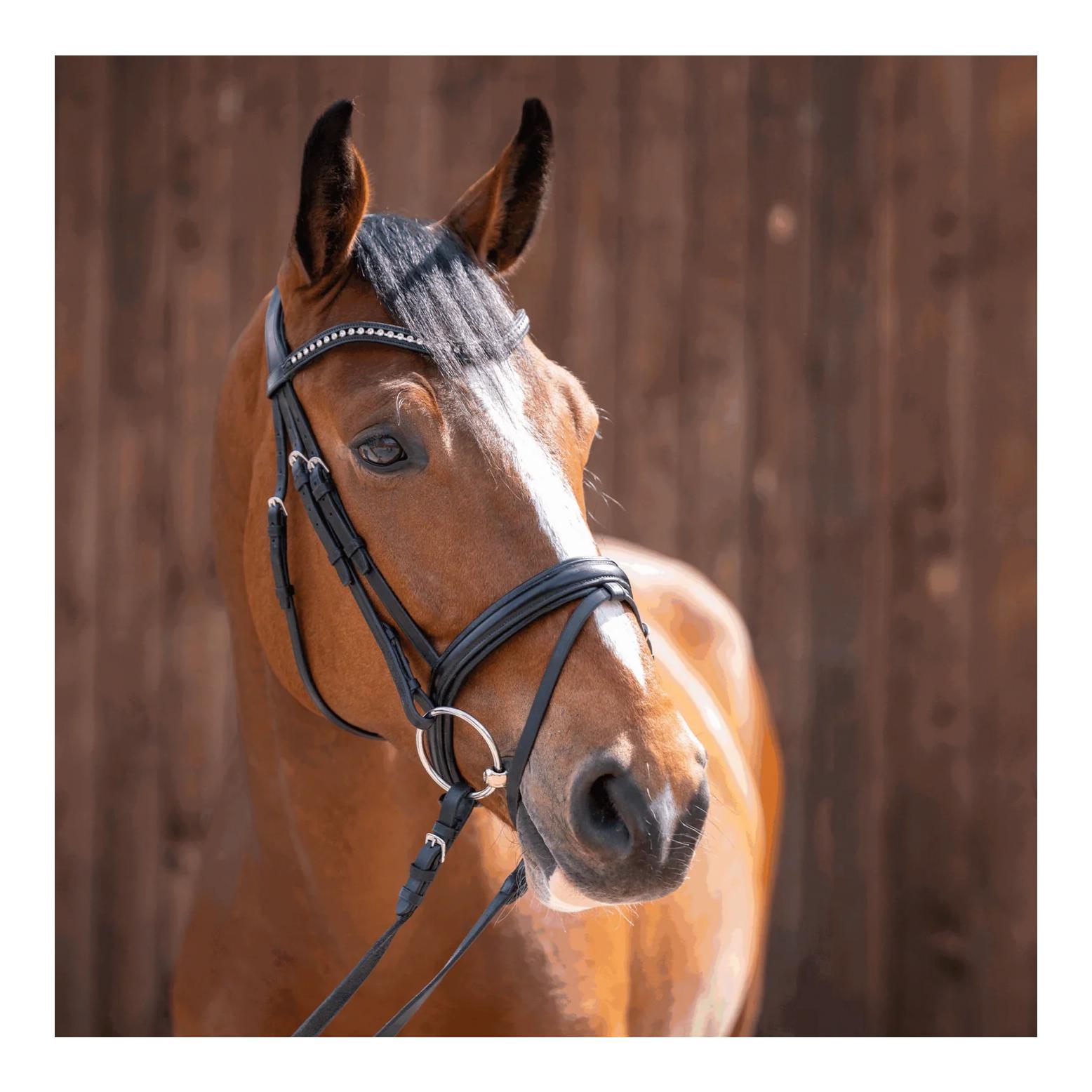 Sprenger novocontact Wassertrense 14 mm einfach gebrochen - Sensogan