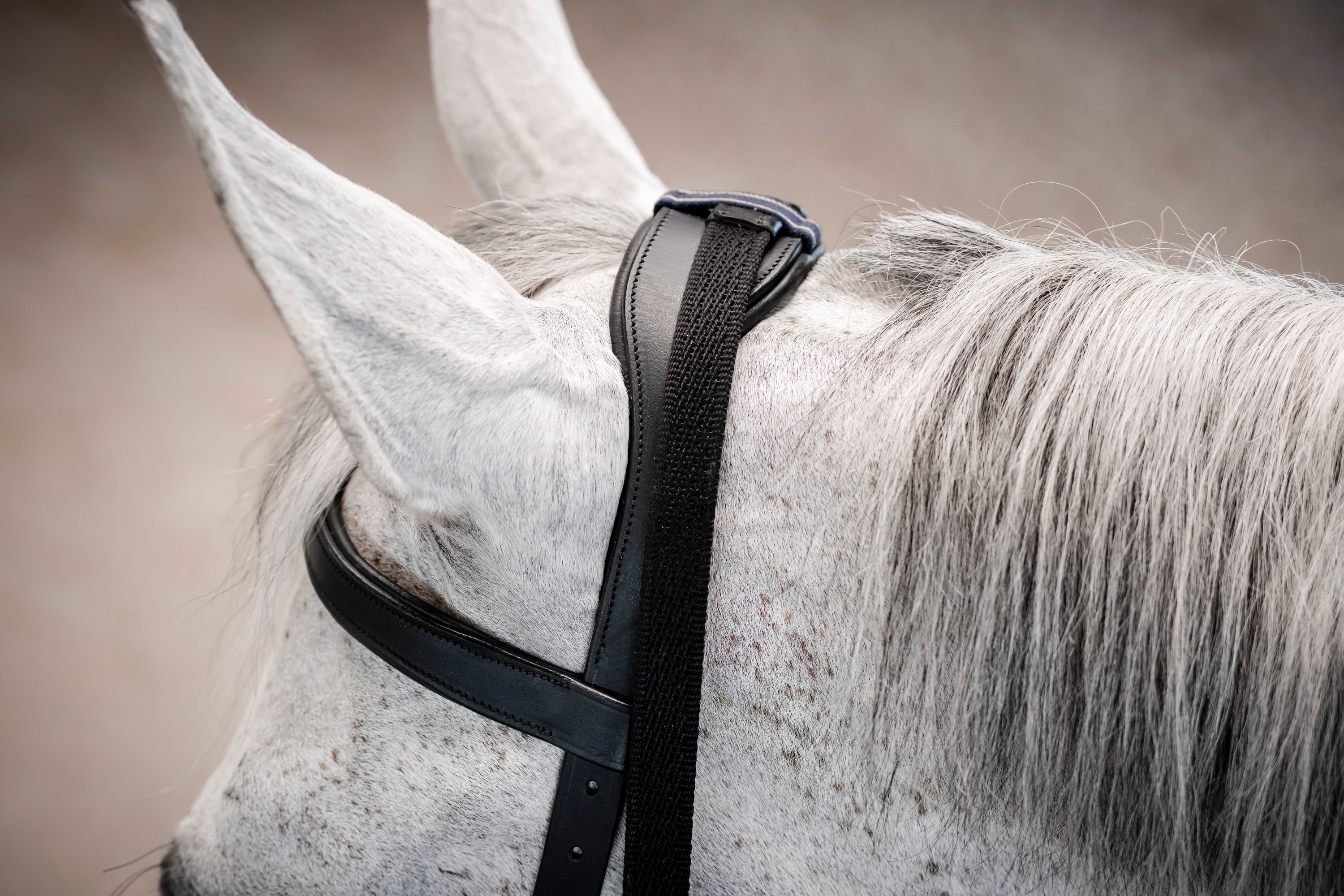 Horseware Bridon Micklem Multi