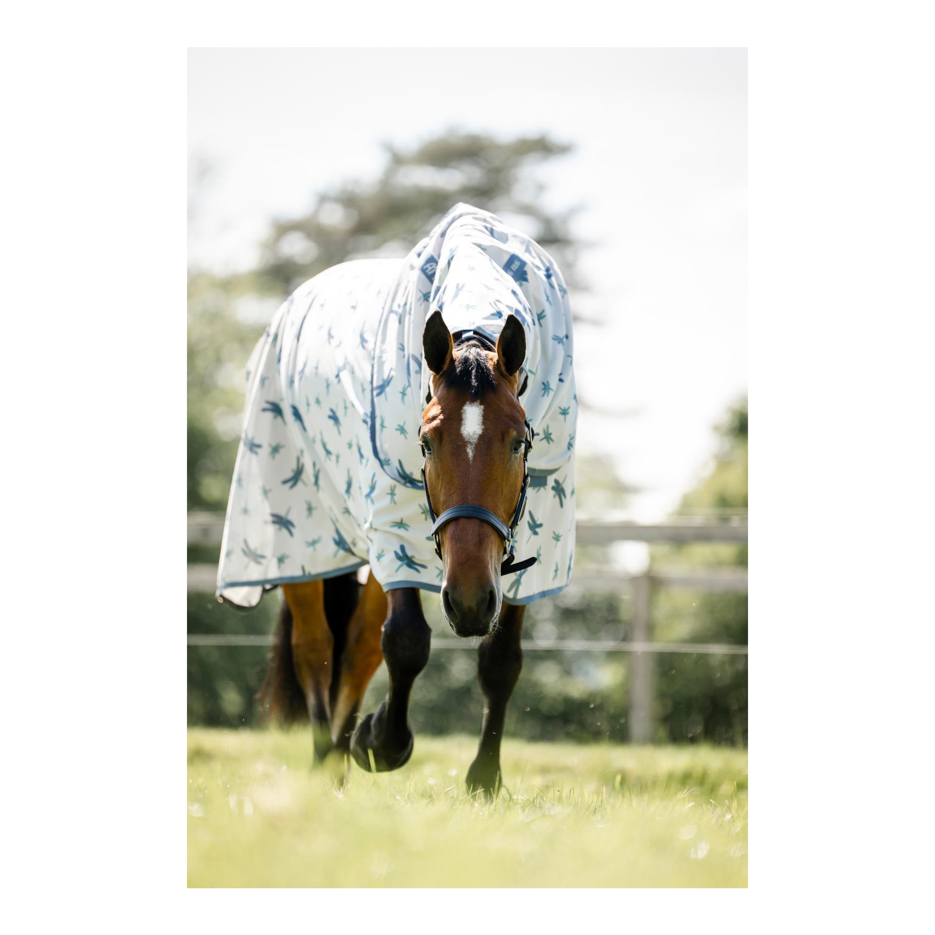 Horseware Couverture anti-mouches Amigo Bug Rug XL Plus