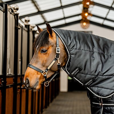 RS-KAT-Halsteil RS-KAT-Halsteil