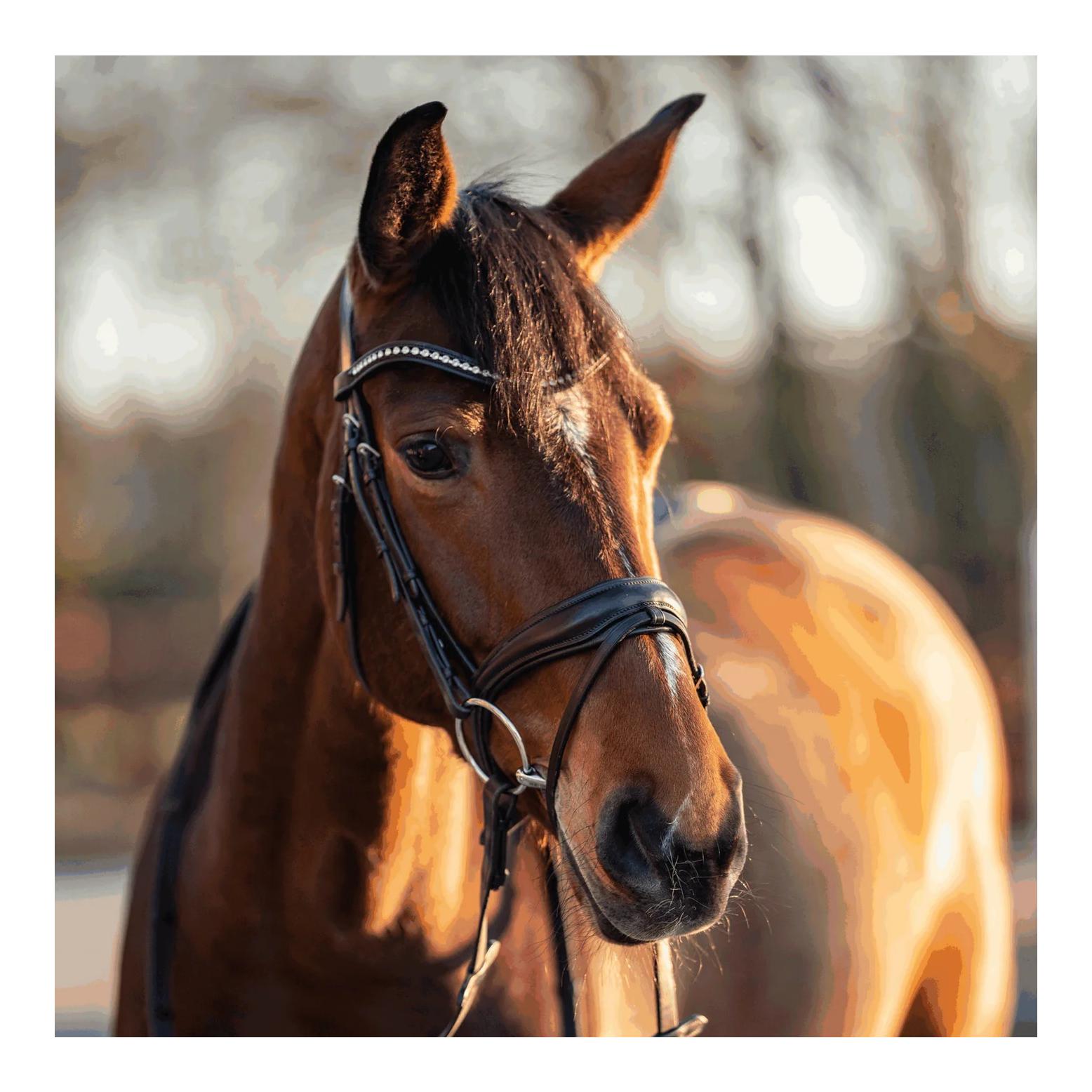 Sprenger Mors chantilly Turnado simple brisure 16 mm