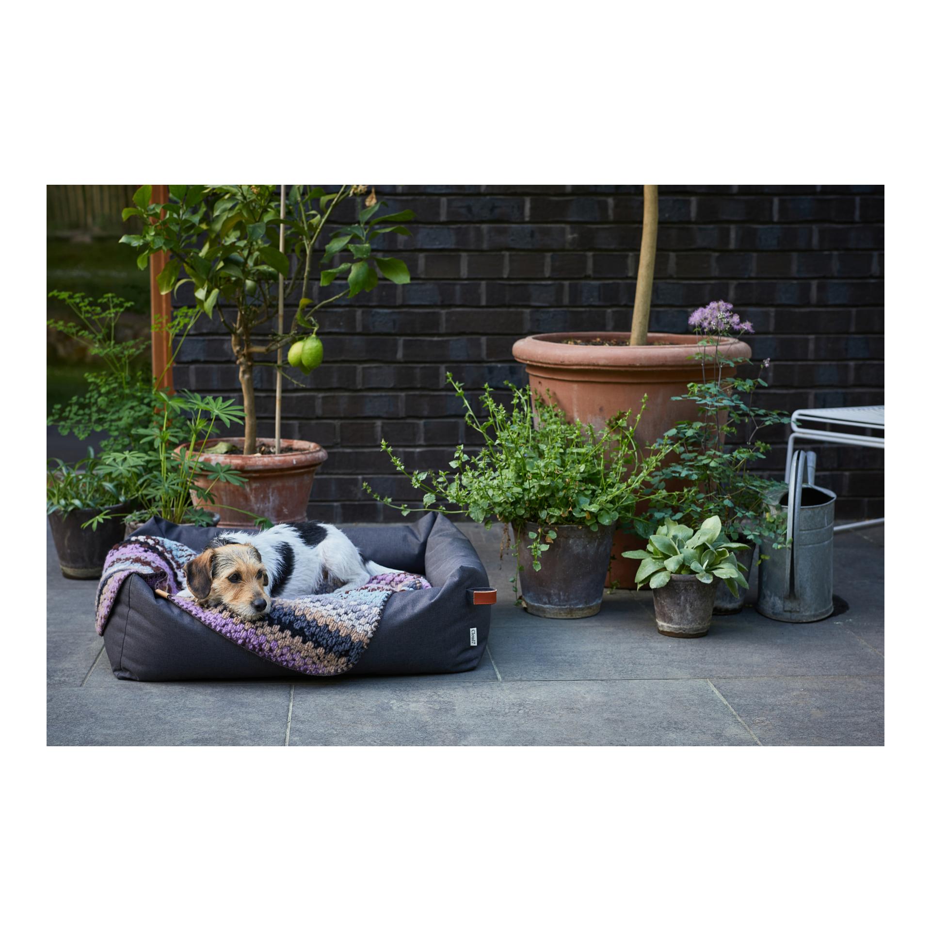 Hundedecke Woodstock Hundedecke Woodstock