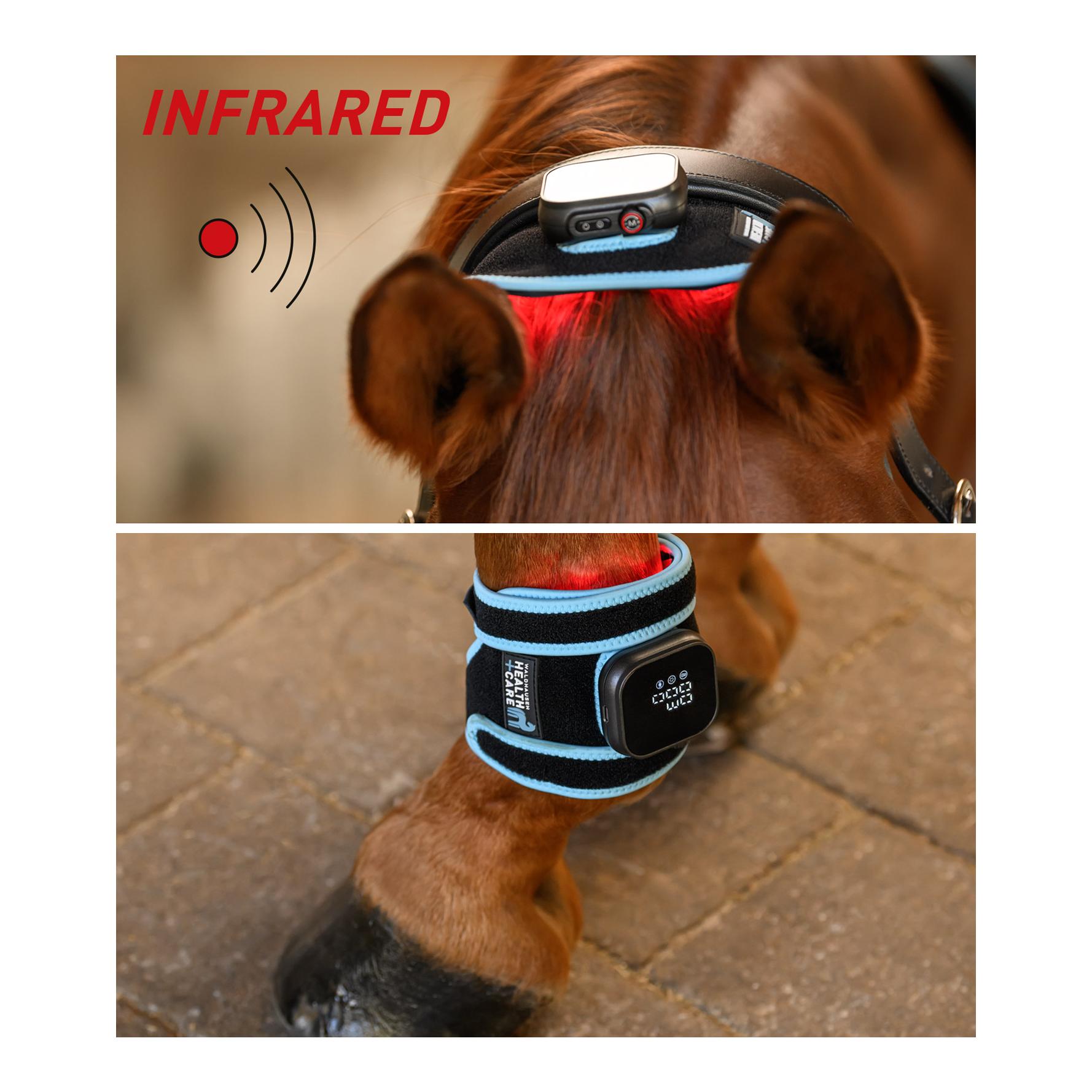 Waldhausen Health + Care Infrared FlexPad