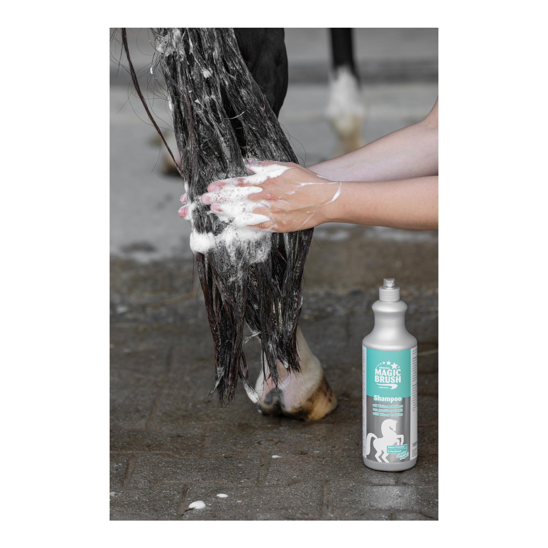 MagicBrush Pferdeshampoo mit Weizenproteinen