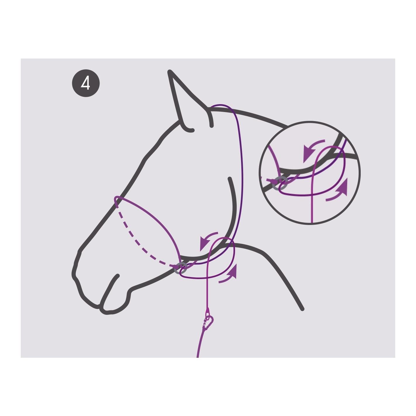 QHP Fotografie-Halfter