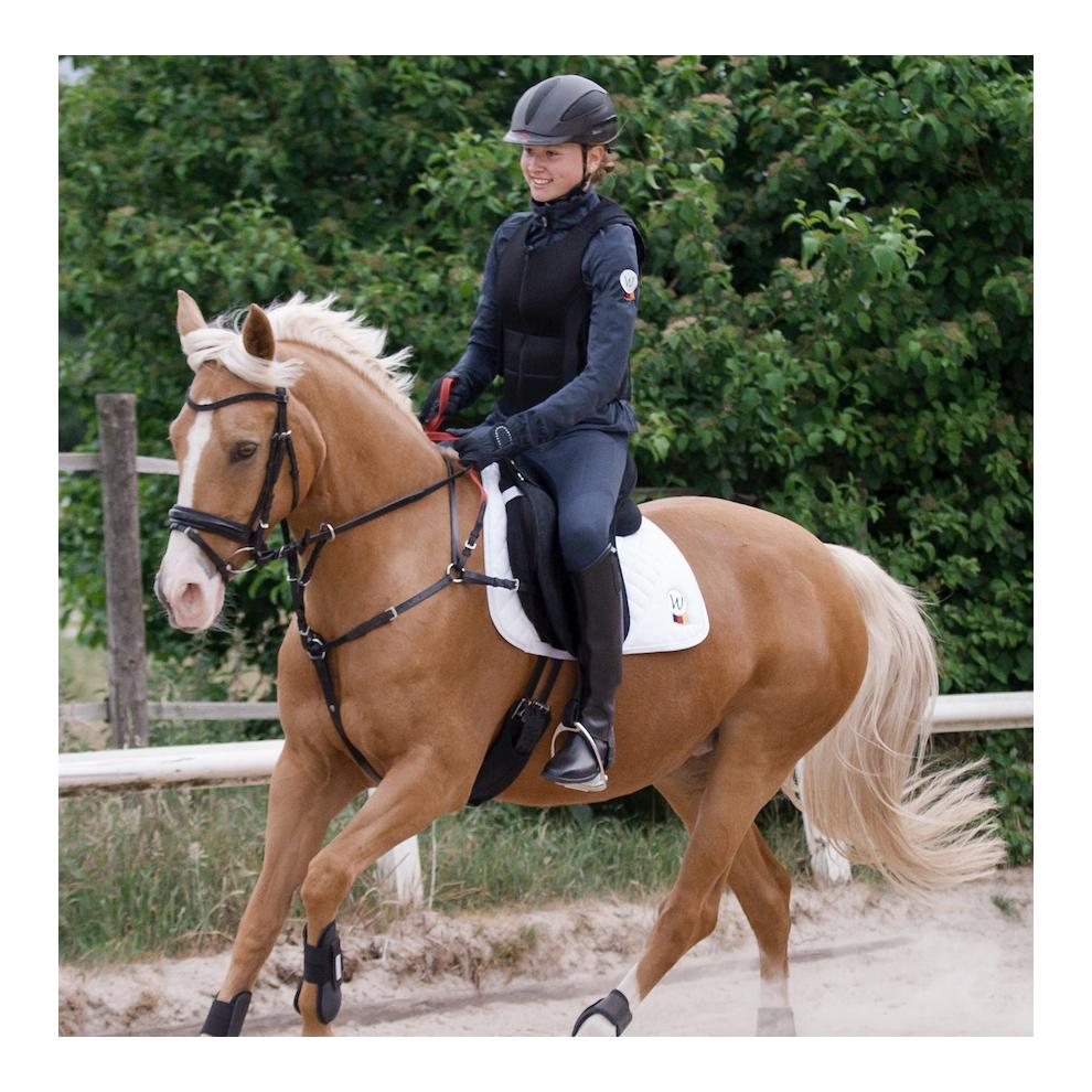 Vorgeschirr mit Sicherheitszügel Secutrust