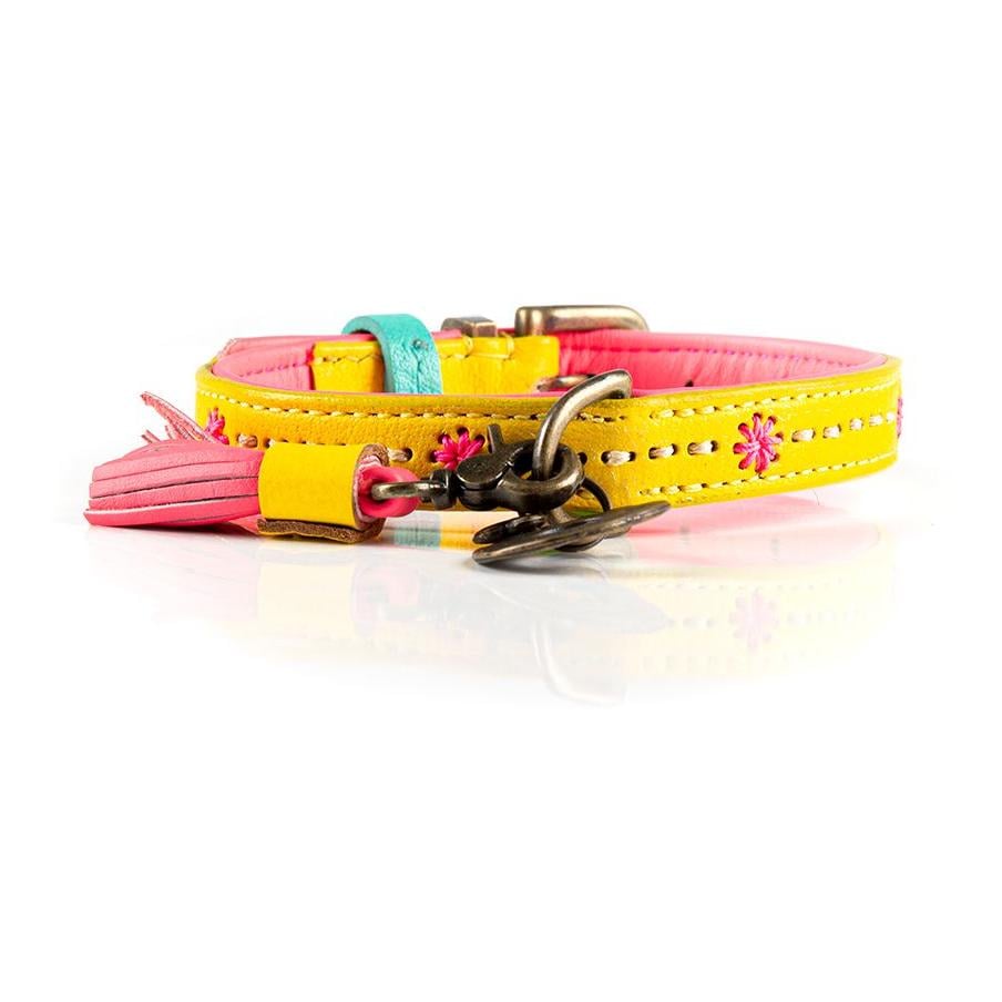 Jessy Hundehalsband Jessy Hundehalsband