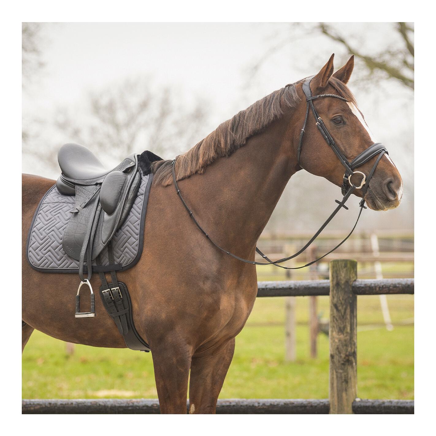 Schabracken Sensisoft