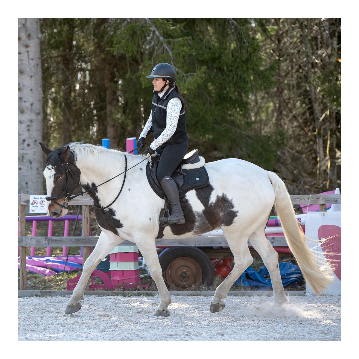 Schabracke VS/Springen "Black Glitter" 