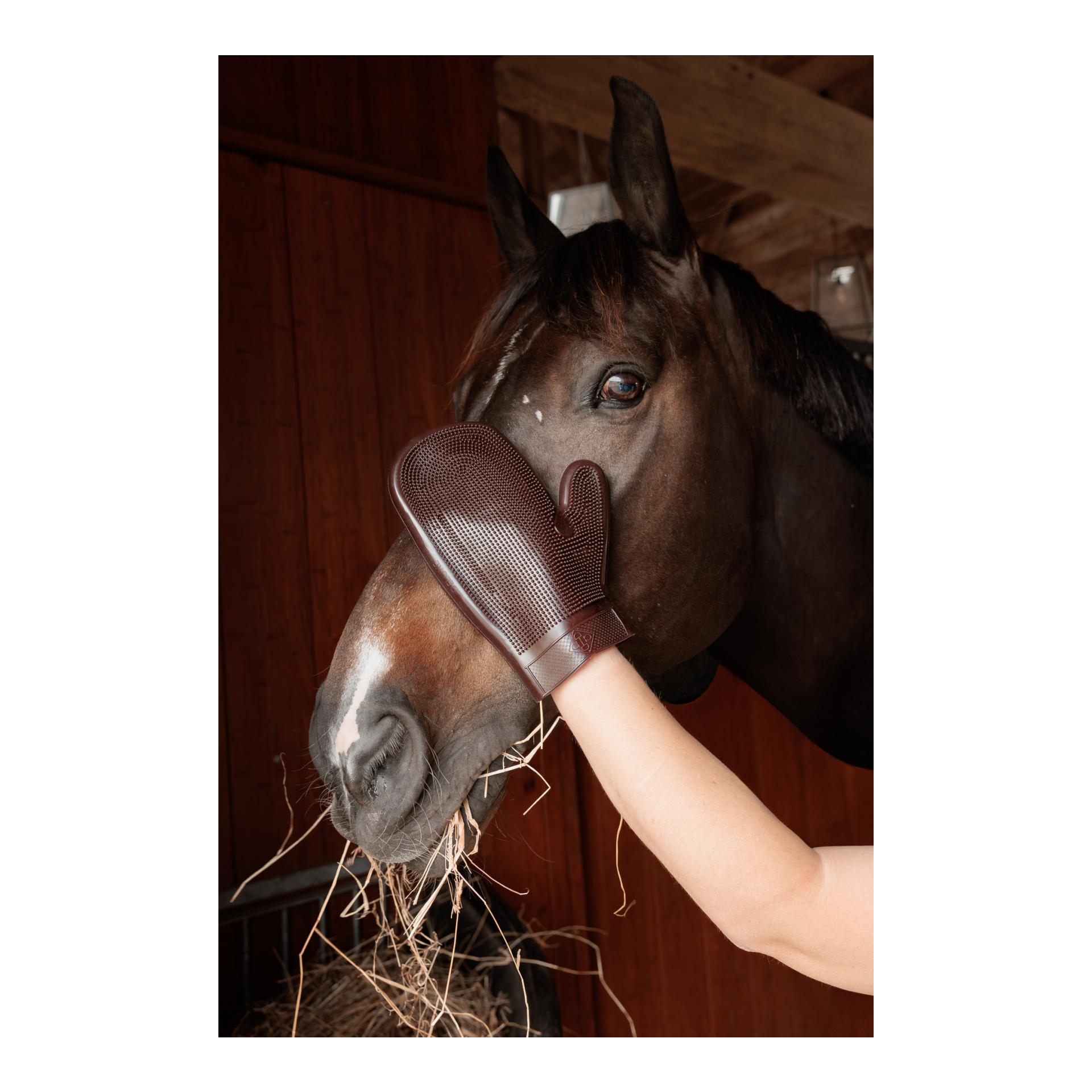 Gummi-Pflegehandschuh