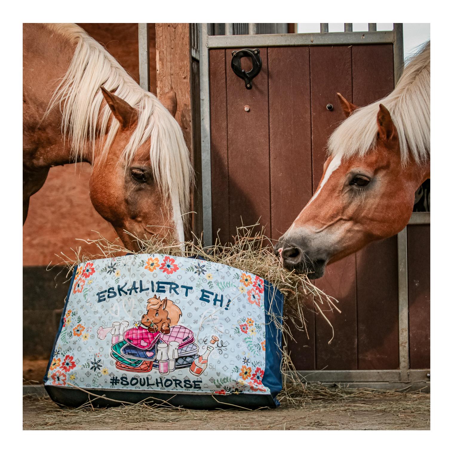 Sac de transport « Eskaliert Eh » Sac de transport « Eskaliert Eh »