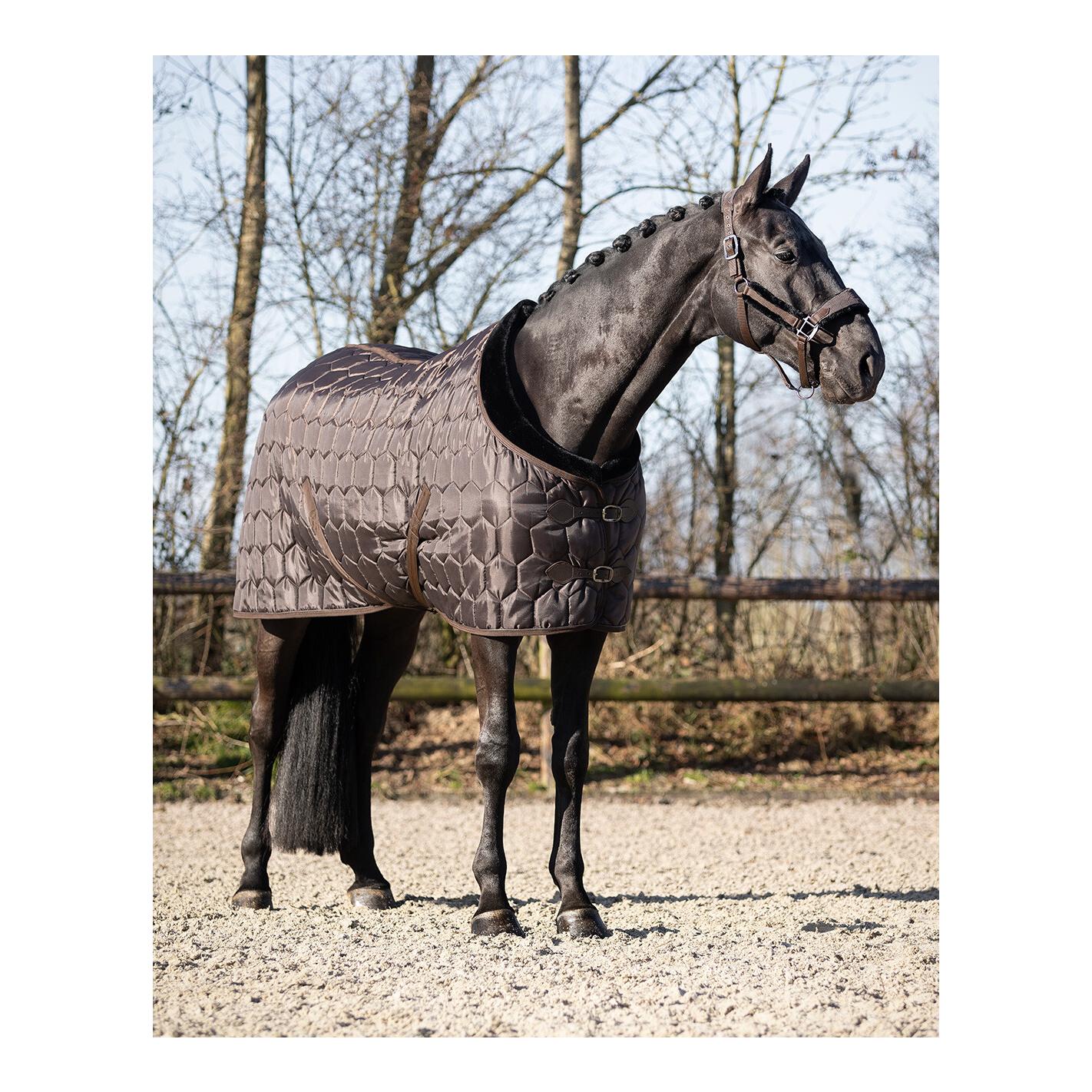 Stalldecke Classy Stalldecke Classy