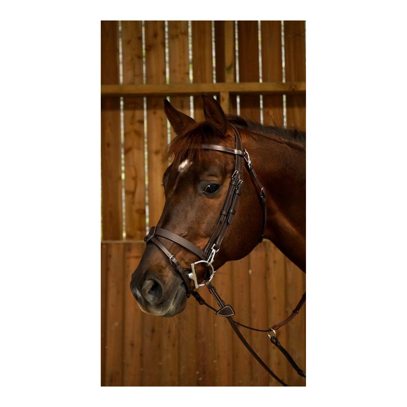 Zaum mit Karabinern Working Collection - braun