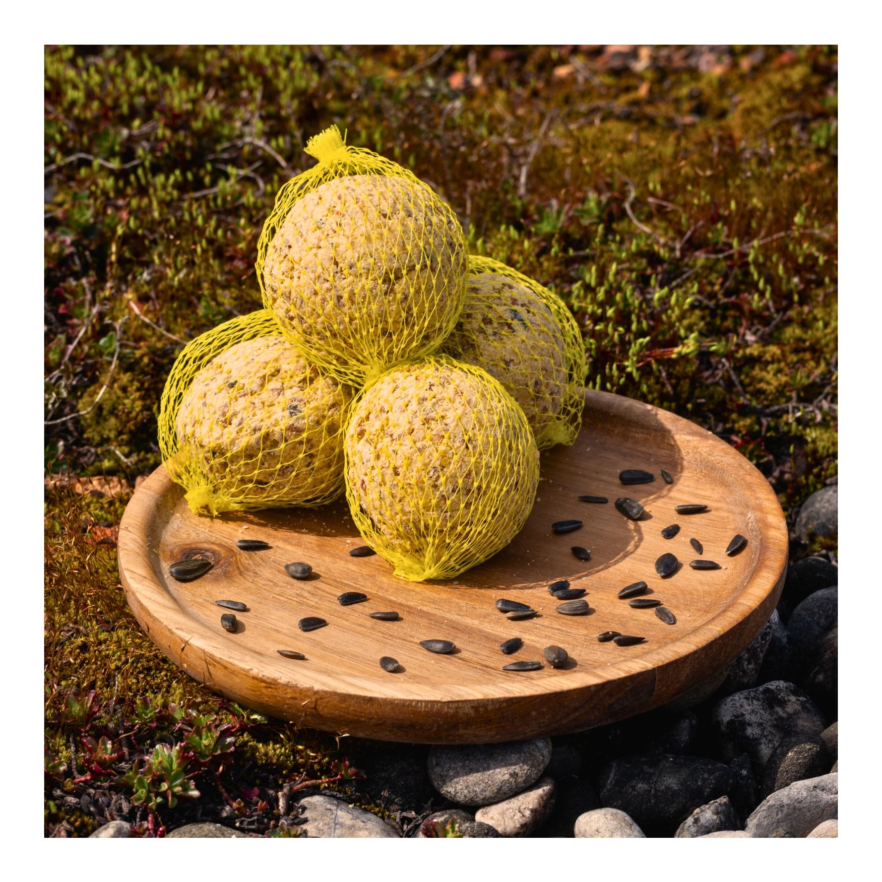 Meisenknödel mit Netz 