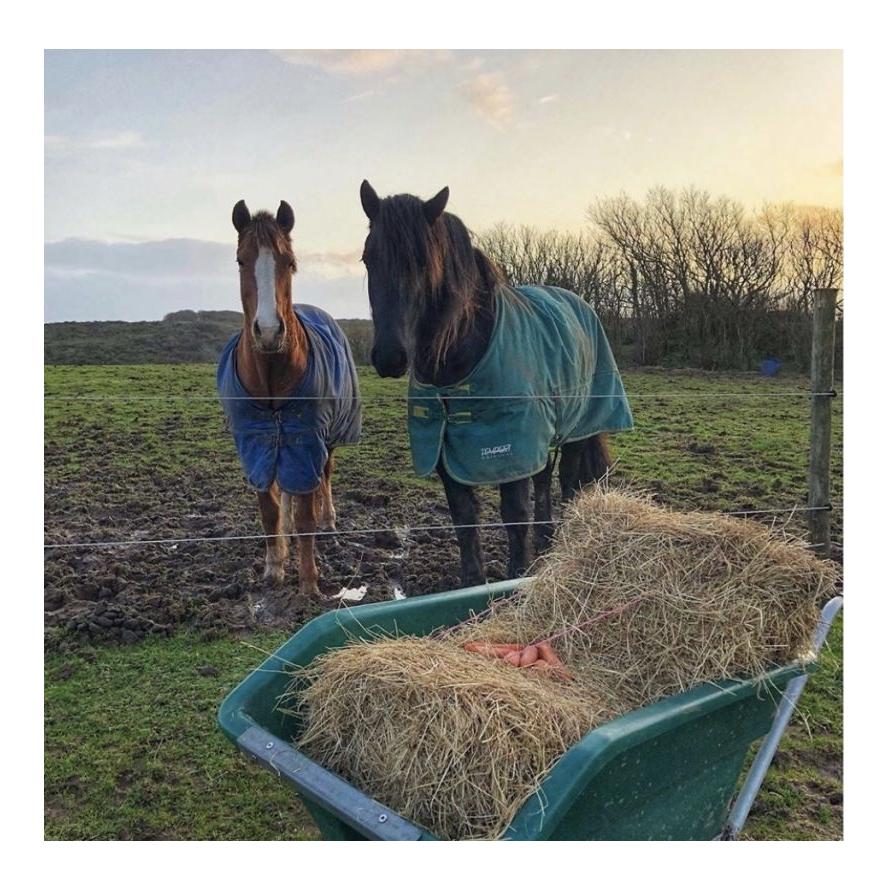 Brouette à bascule en plastique