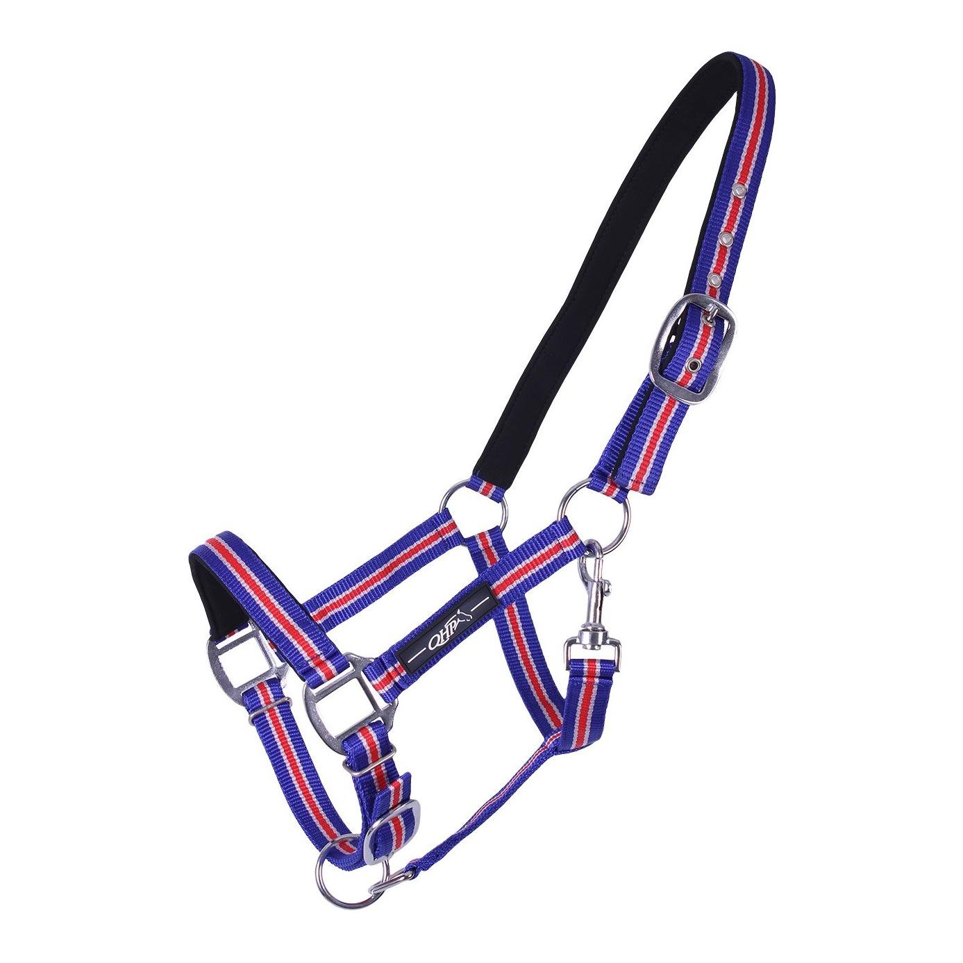 QHP Icelandic Halfter - blau