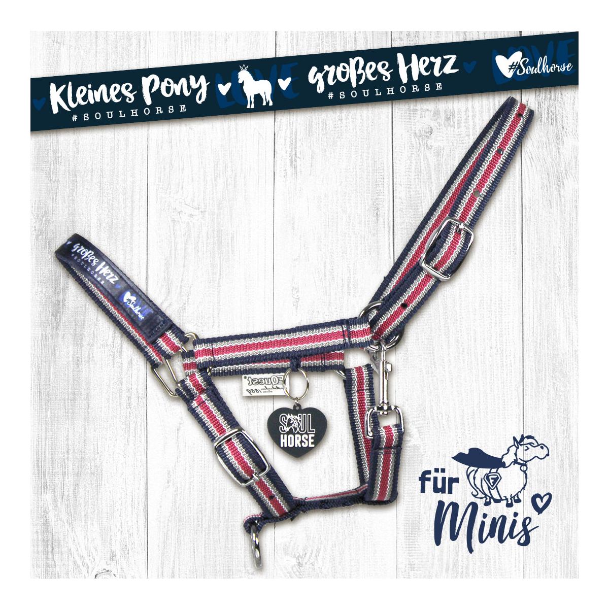 Halfter Shetty & Mini-Shetty