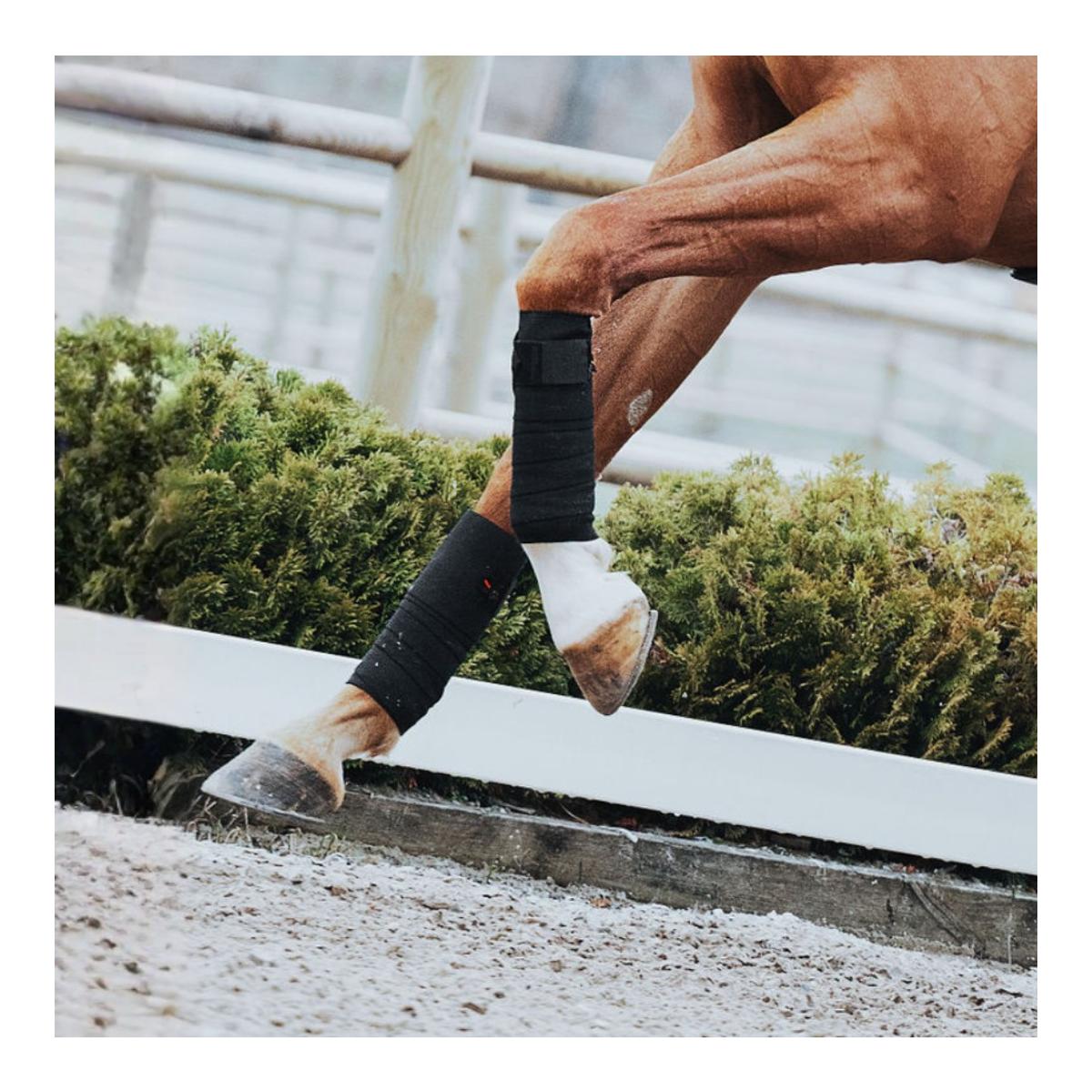 Incrediwear Equine Arbeitsbandagen Circulation (Paar)