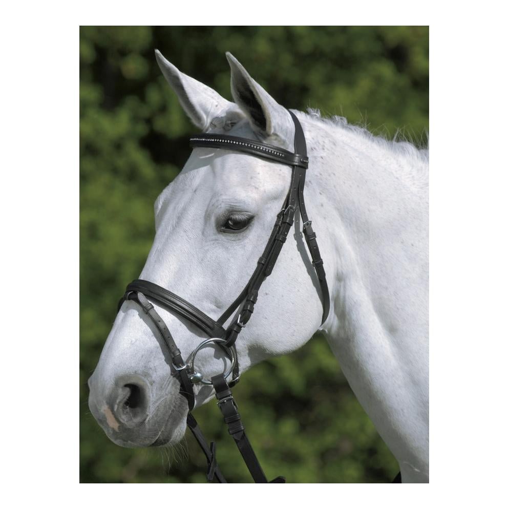 Star Diamond Trensenzaum Couleur: Schwarz/Weiss, Taille brides: Pur-sang