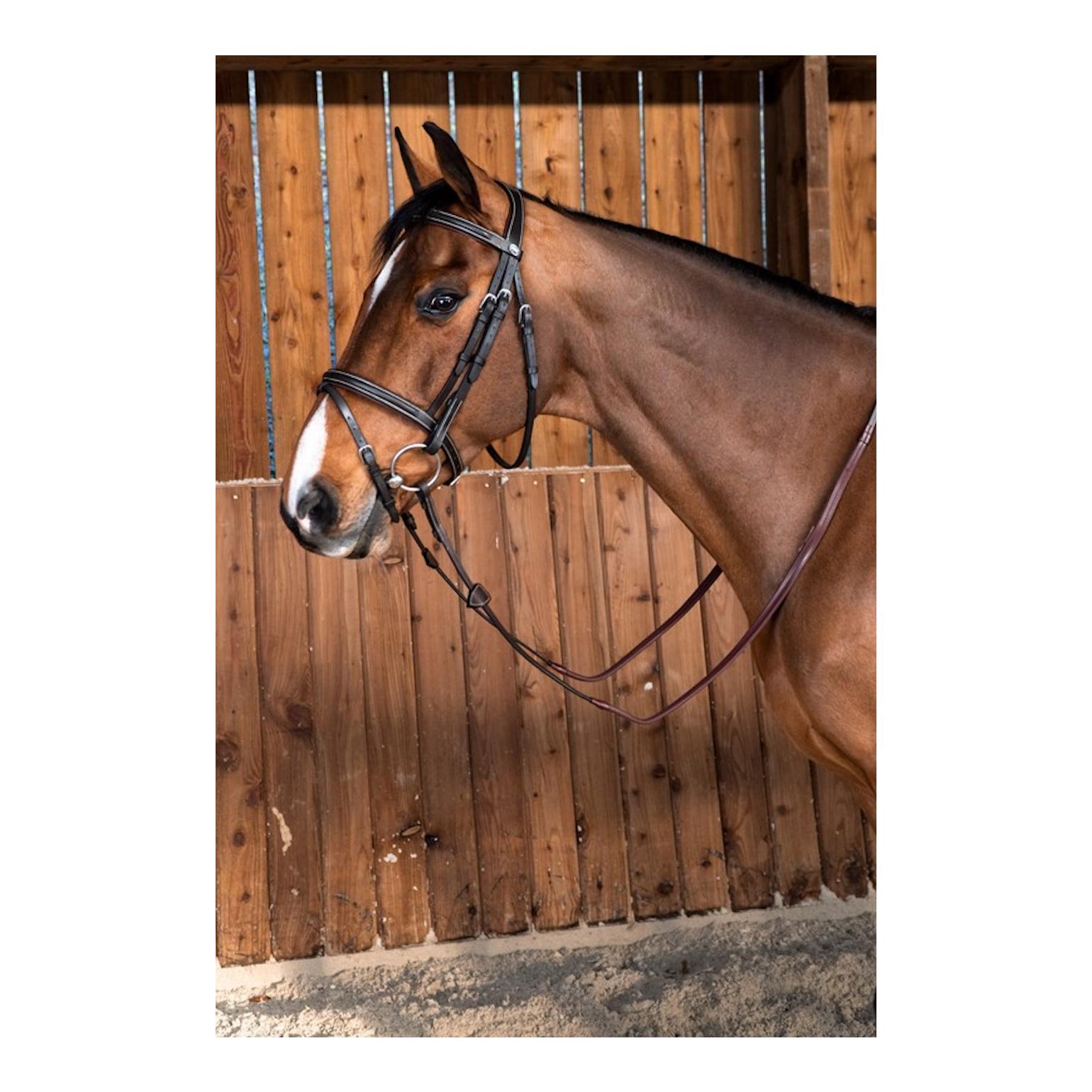 Zaum mit englisch kombiniertem Reithalfter Working Collection Neu - schwarz