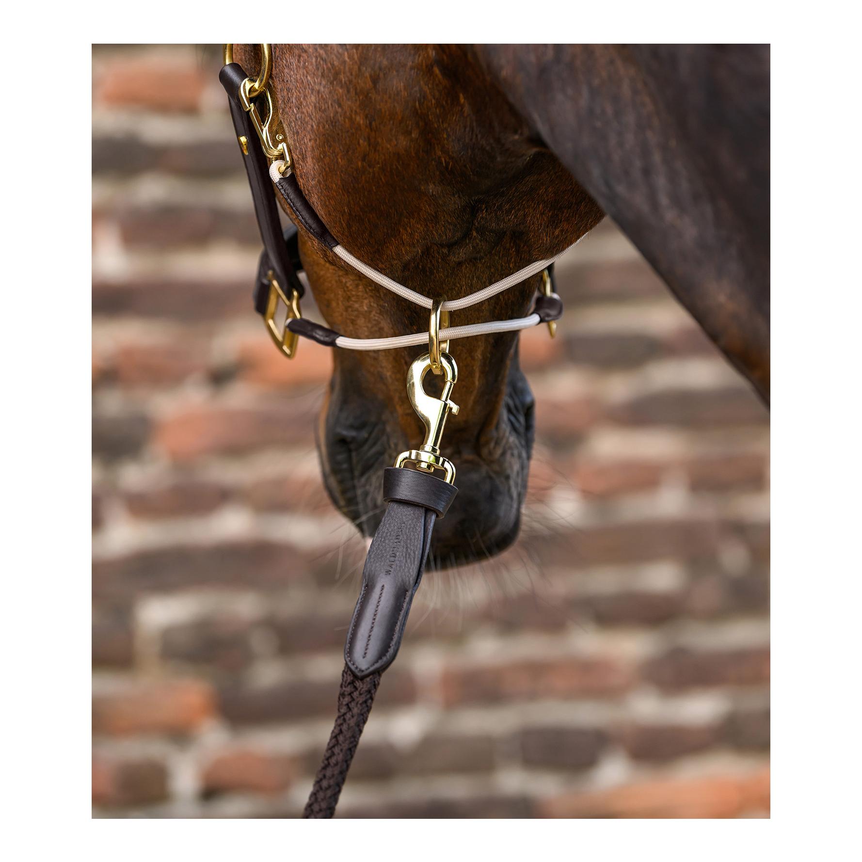 Waldhausen Longe Royal avec détails en cuir et mousqueton