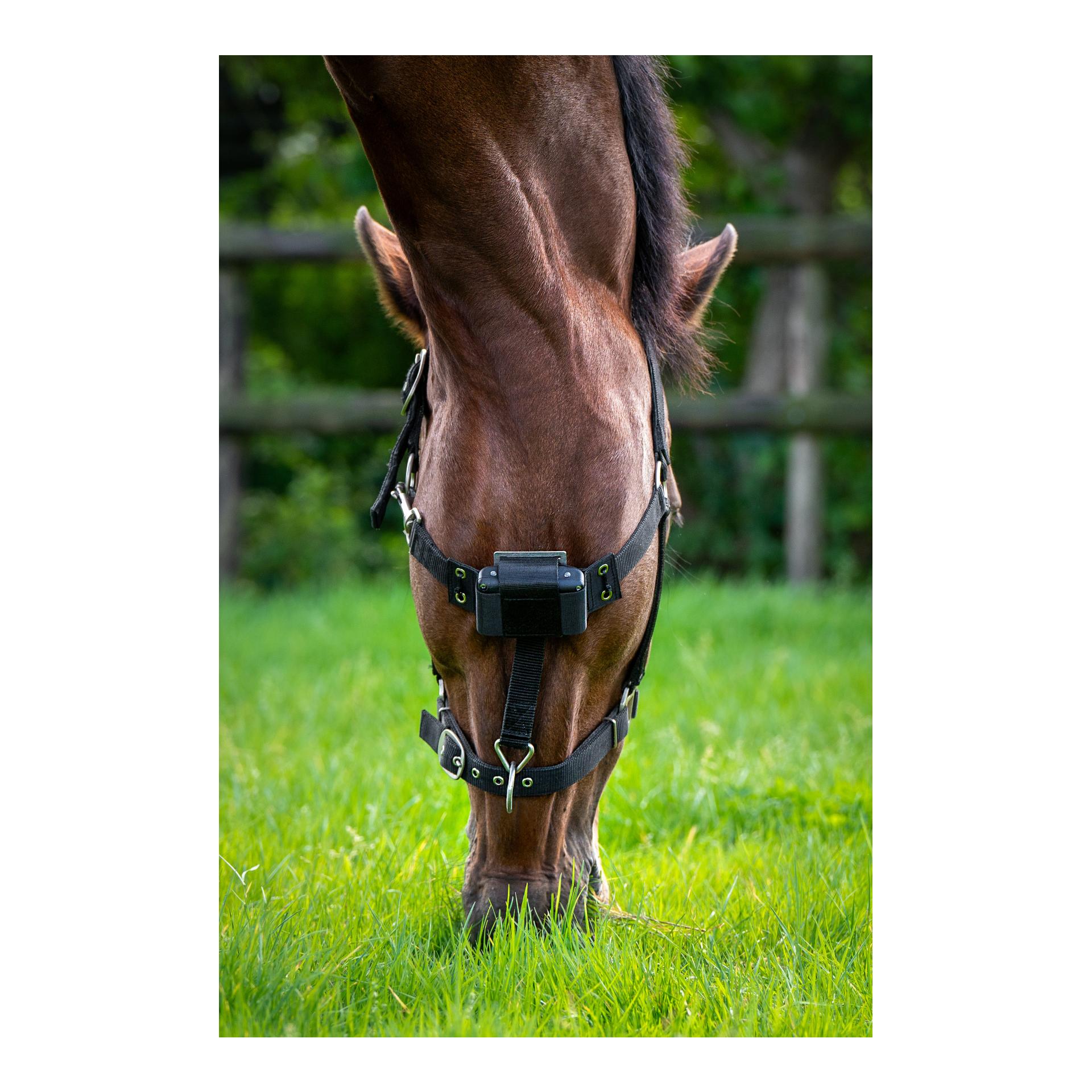 Birth Alarm Set - Birth Alarm Premium komplett