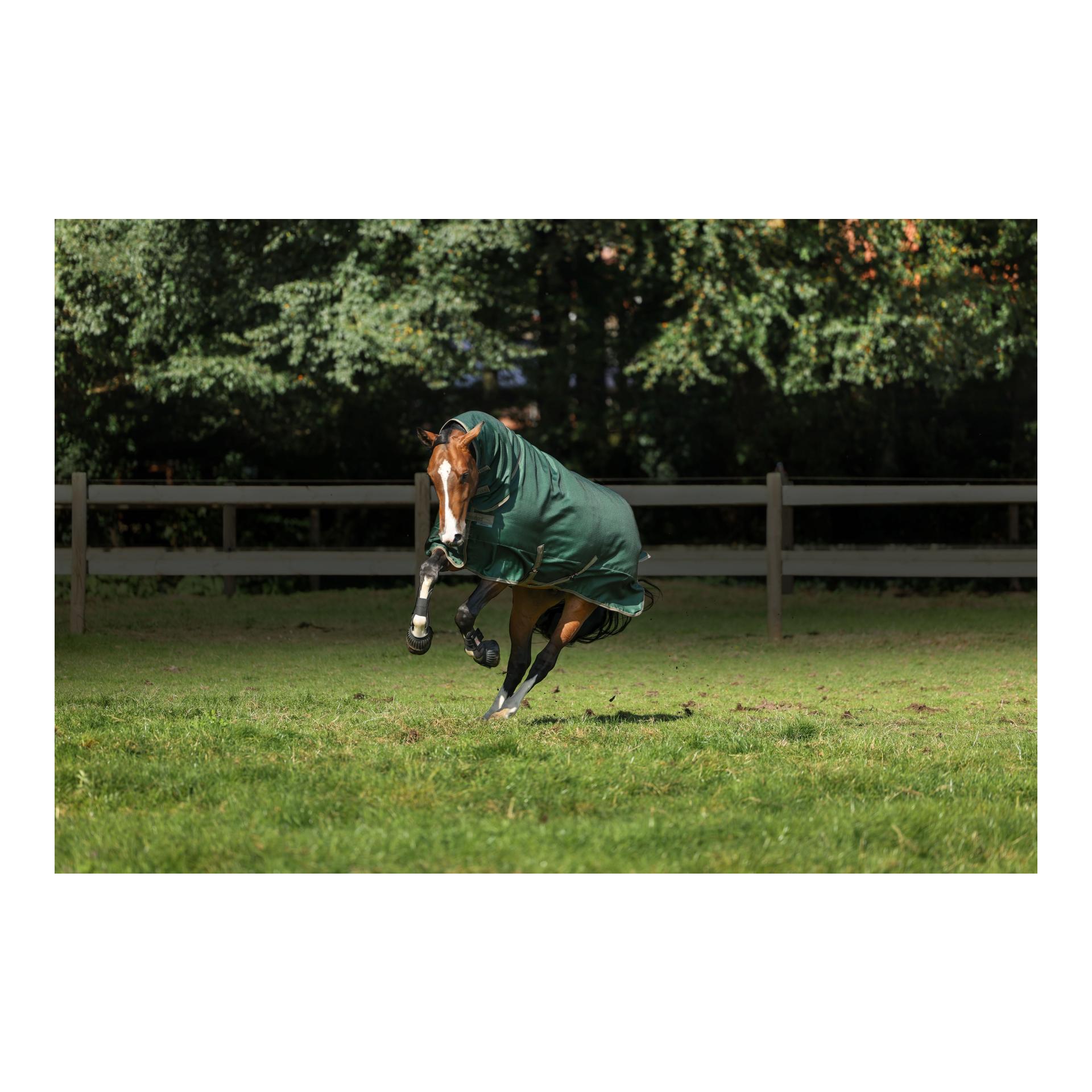 Outdoordecke Freedom Turnout Full Neck Light 0g