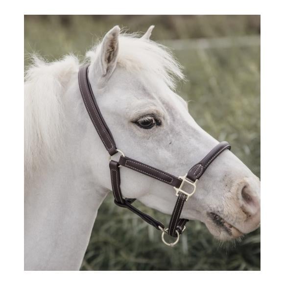 Pony Lederhalfter - braun Pony Lederhalfter - braun